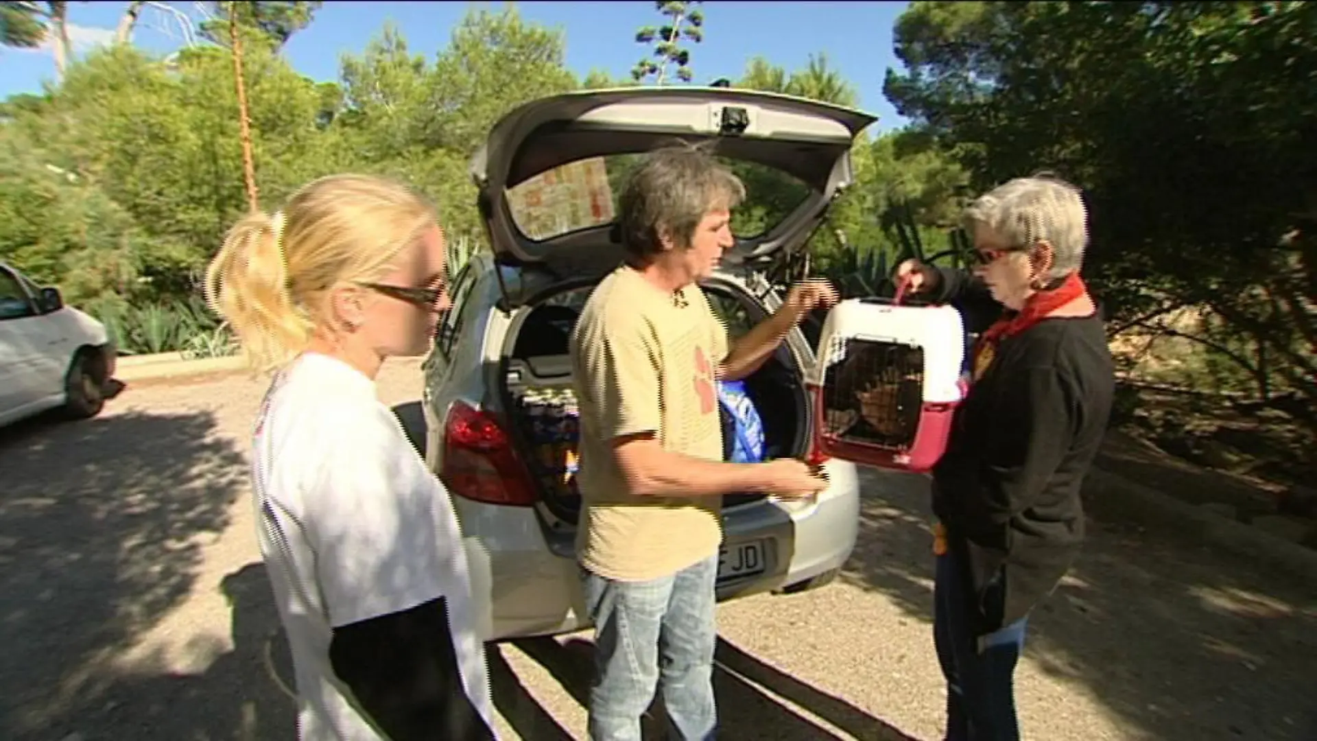 tierschuetzer mallorca 2
