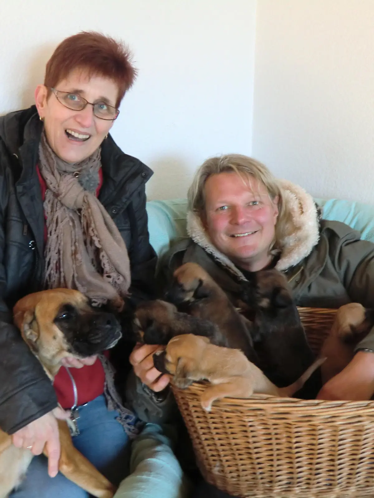 Tiere in Not - Hundefamilie 2