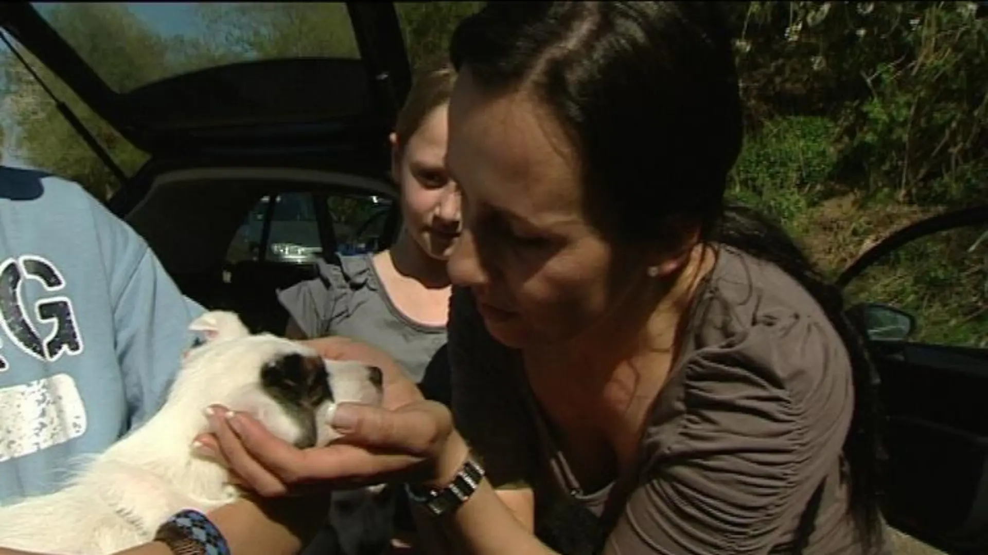 tiergeschichten4