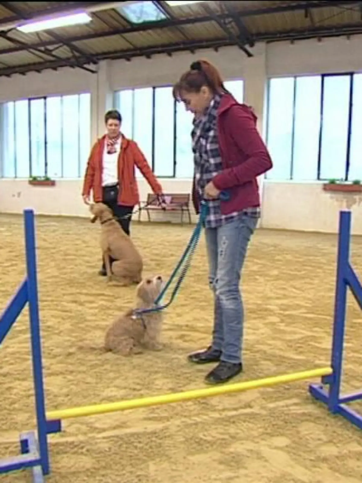 tiergeschichten1 1