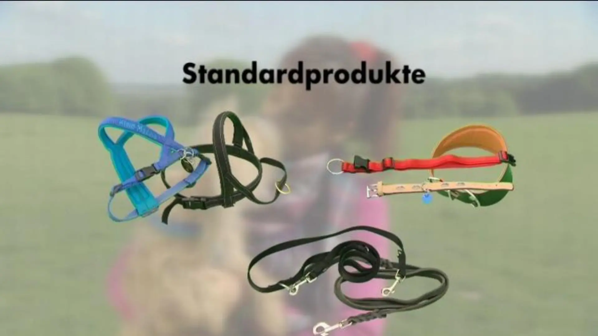 galerie2 standardprodukte