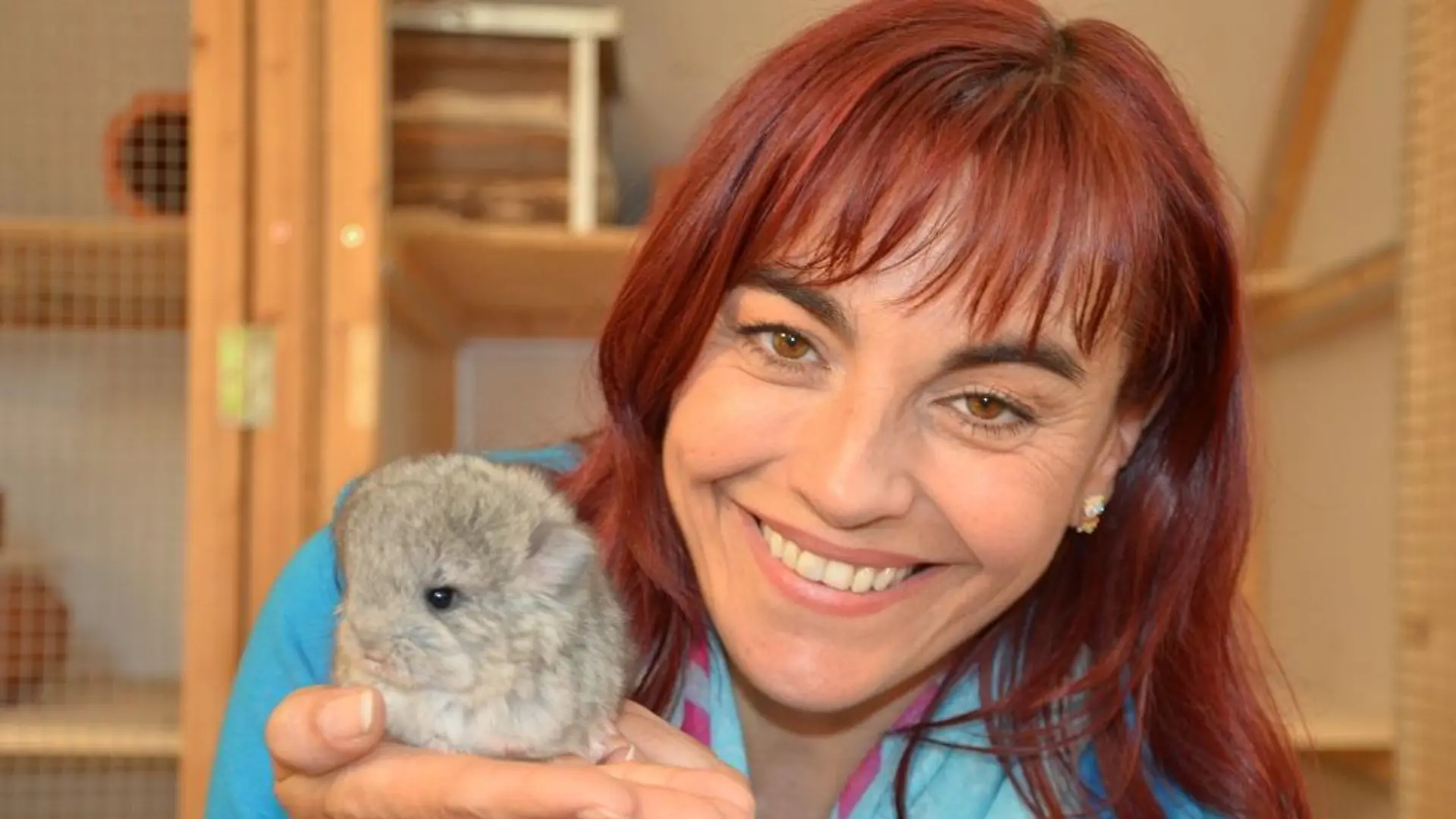 Tiergeschichten2 - VOX-DOCMA TV - Diana informiert sich ber Angora-Chinchillas