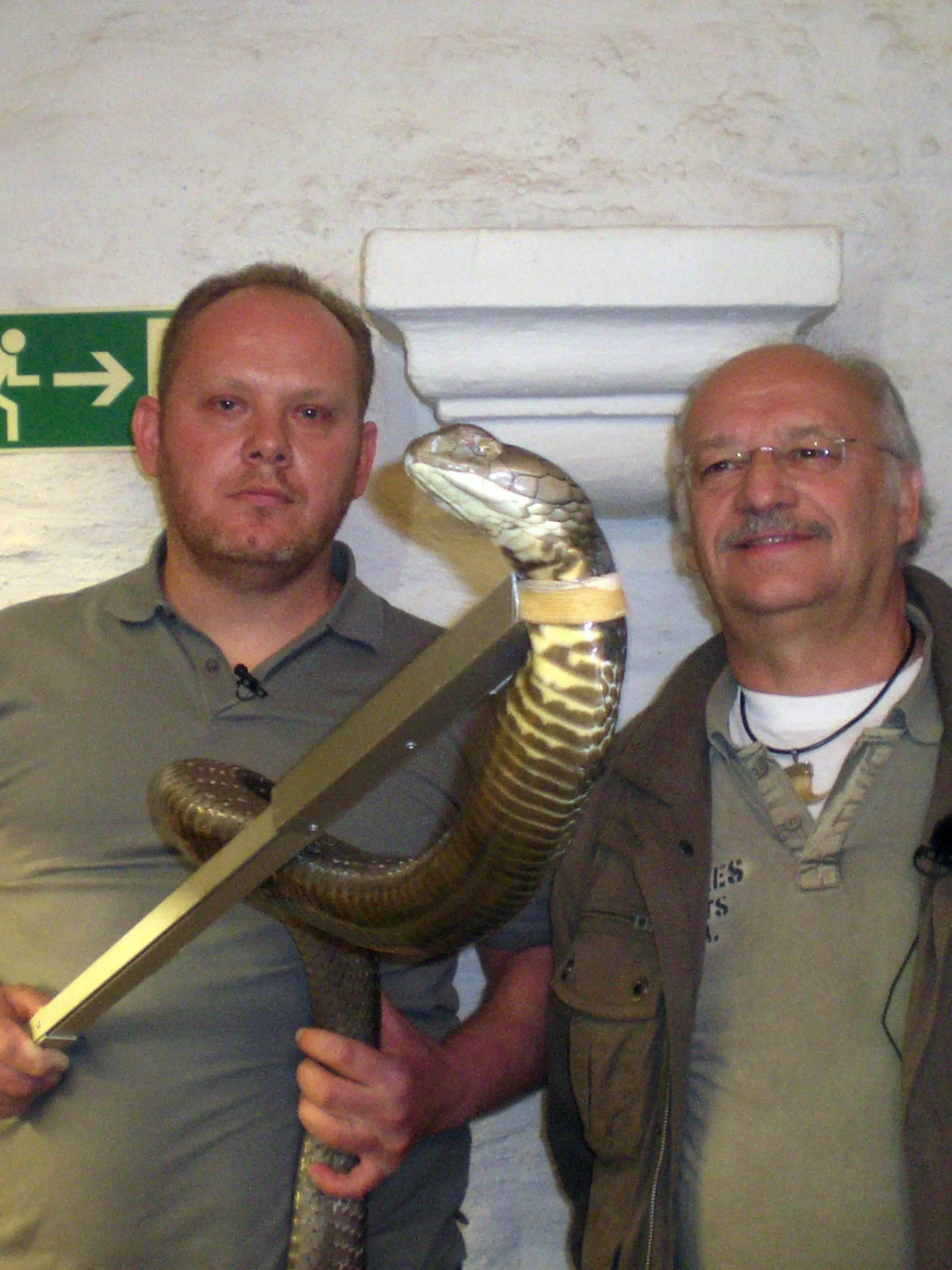 Dr. Wolf (r.) mit Michael Steige, dem Leiter des Gifttierhauses, der die Königskobra mit einer Schlinge zur Untersuchung fixiert hat.