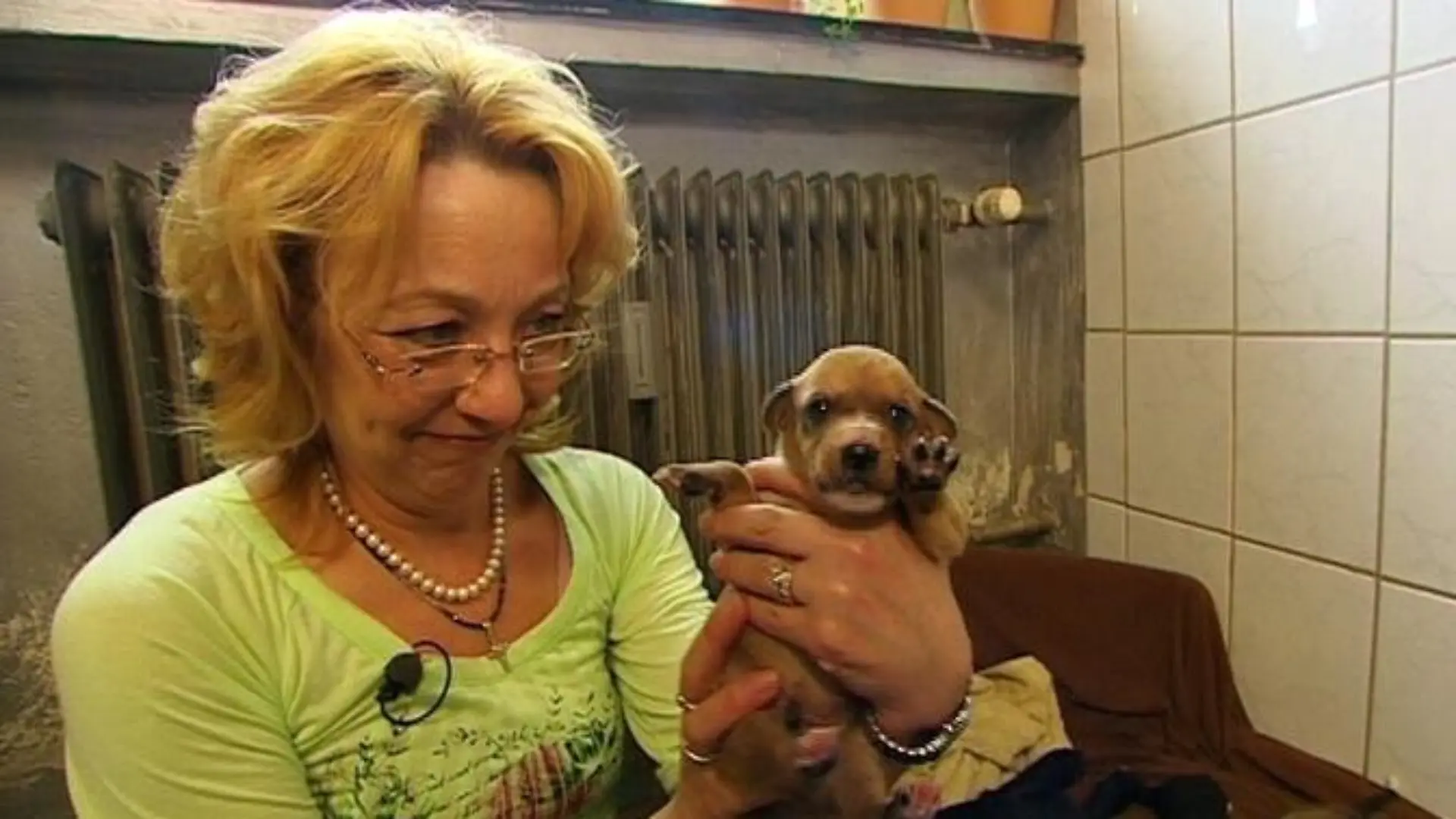 tiergeschichten3