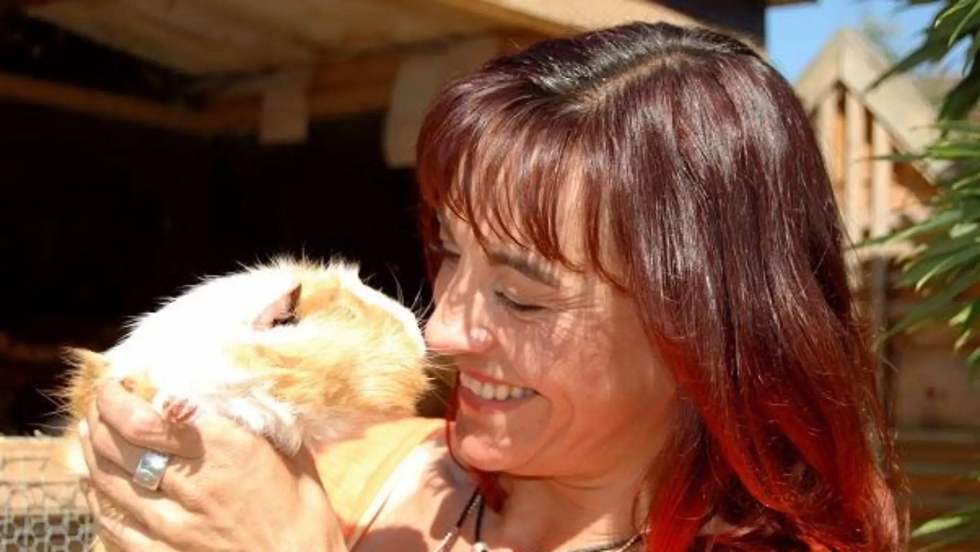 Tiergeschichten2 - VOX-DOCMA TV-JULIA PANZER - Meerschweinchen Haltung