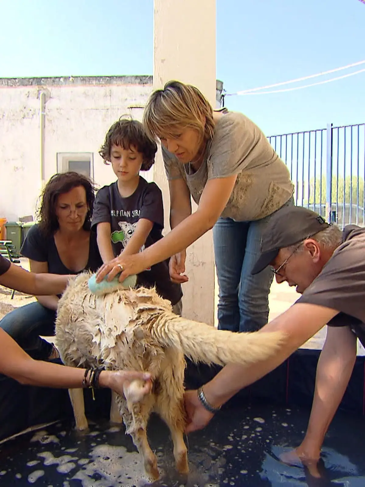 Italien Soap.VOX DOCMA TV