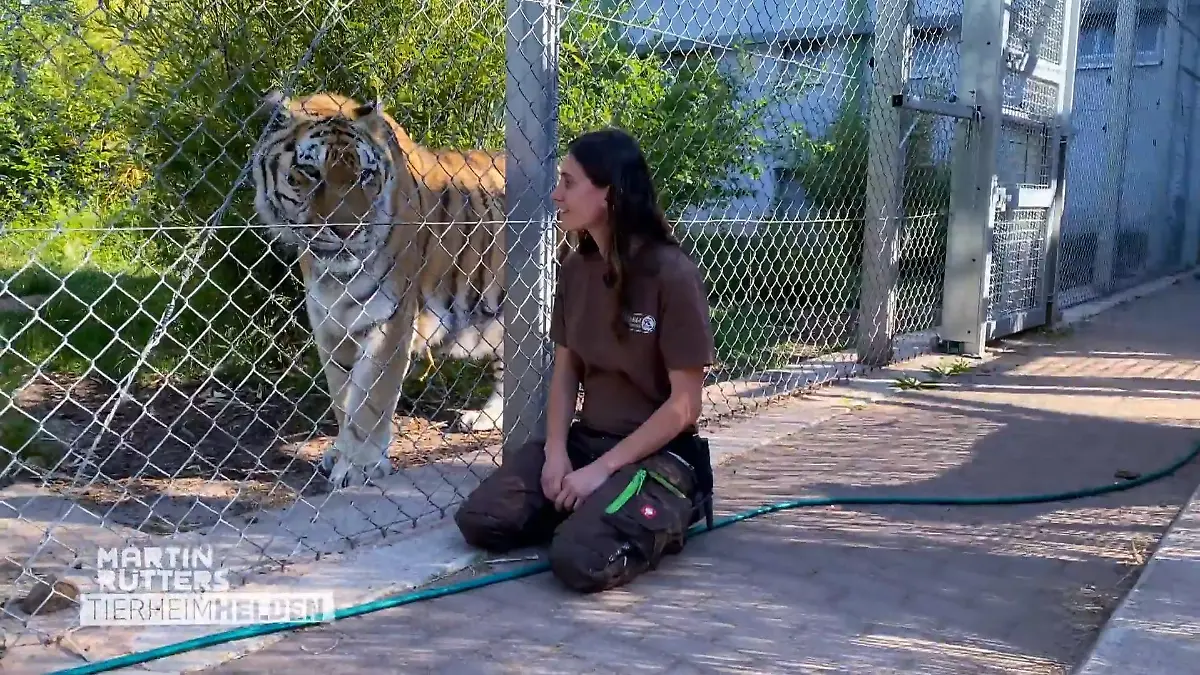 In dieser Tierstation sollte man eher angstfrei sein