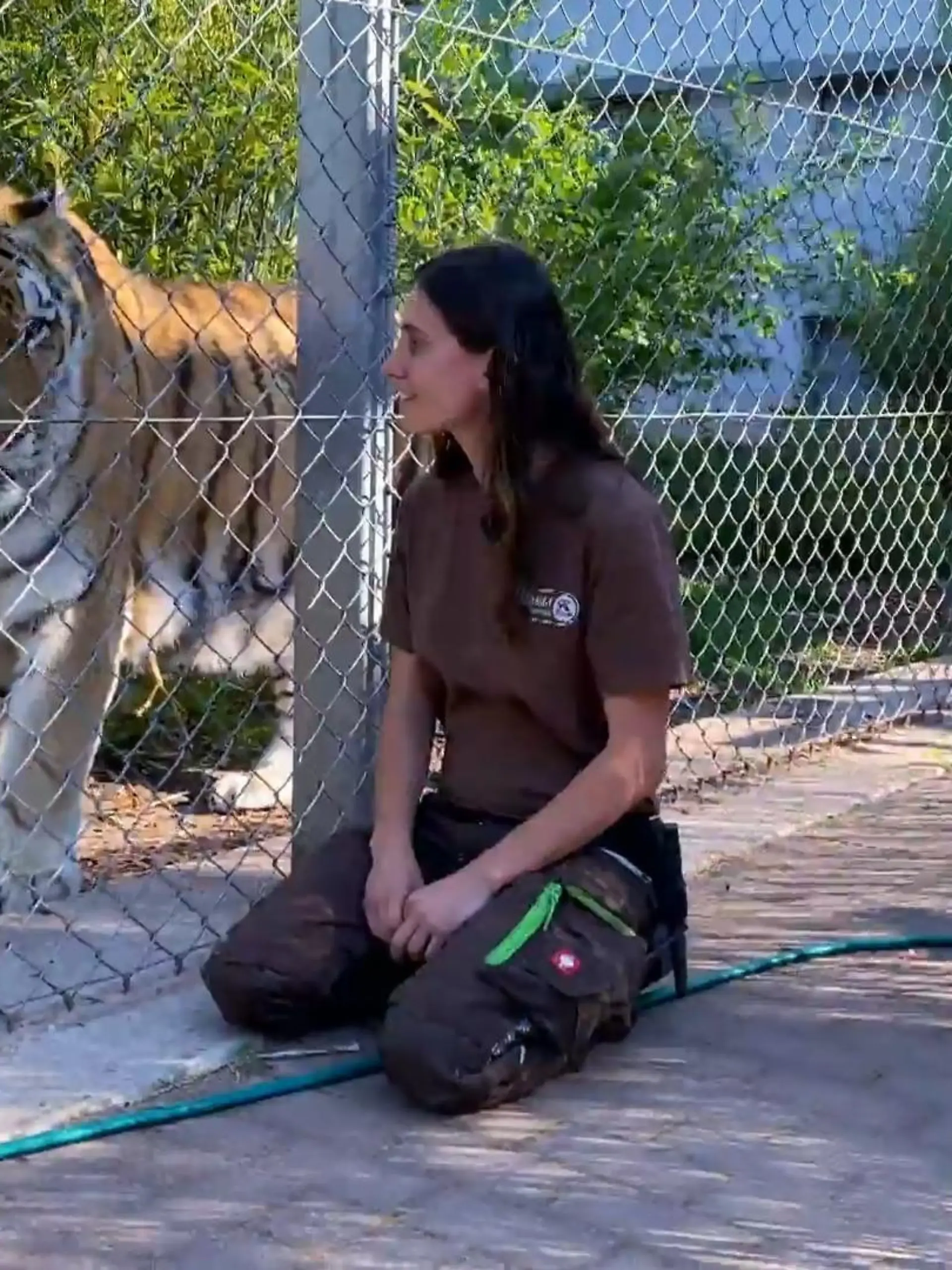 In dieser Tierstation sollte man eher angstfrei sein
