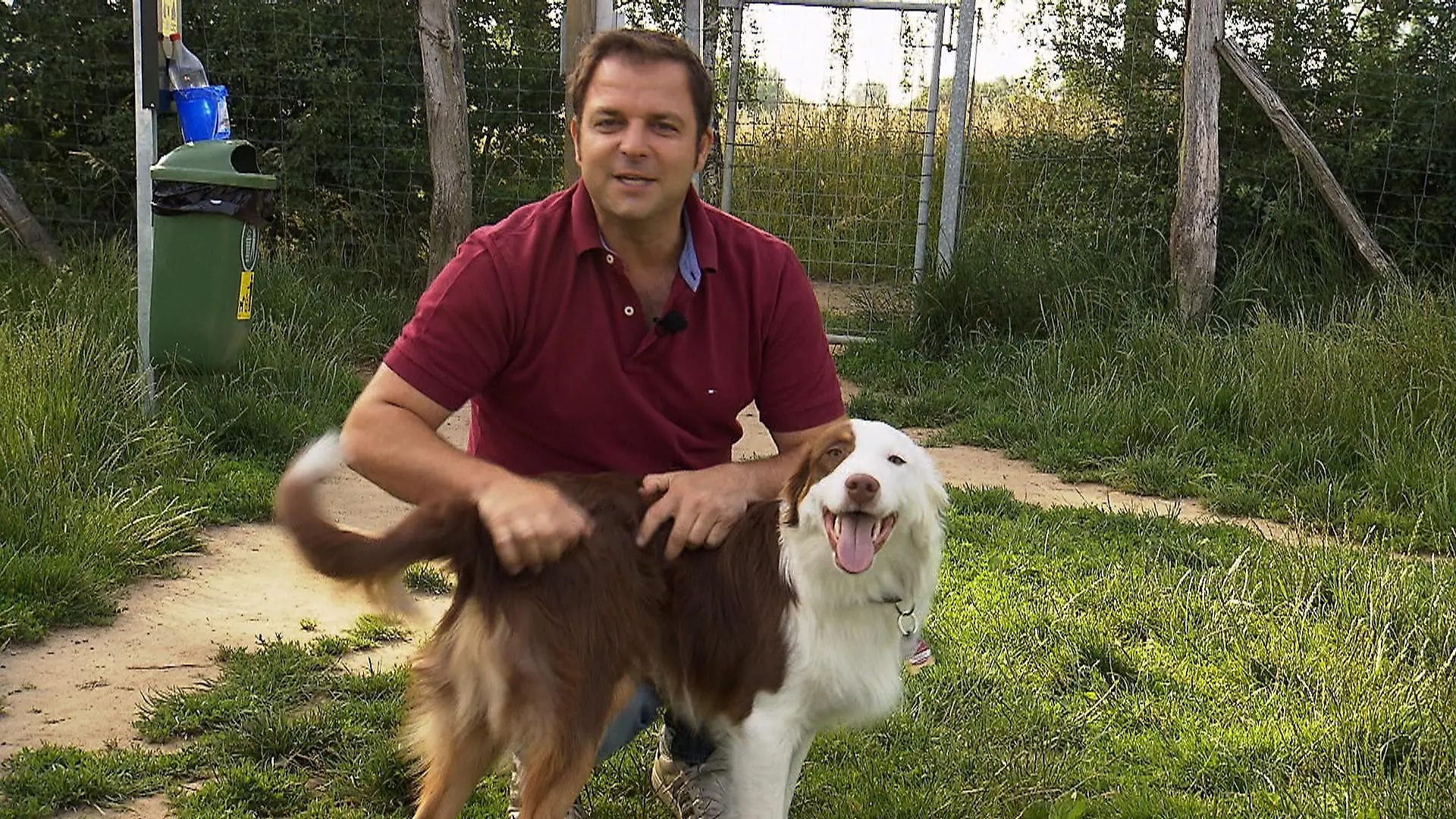 Ausgestattet mit Campingstuhl und Sonnenschirm postiert Martin Rütter sich als scharfer Beobachter und charmanter Ratgeber auf Deutschlands größter Hundewiese in Mühlheim an der Ruhr.
