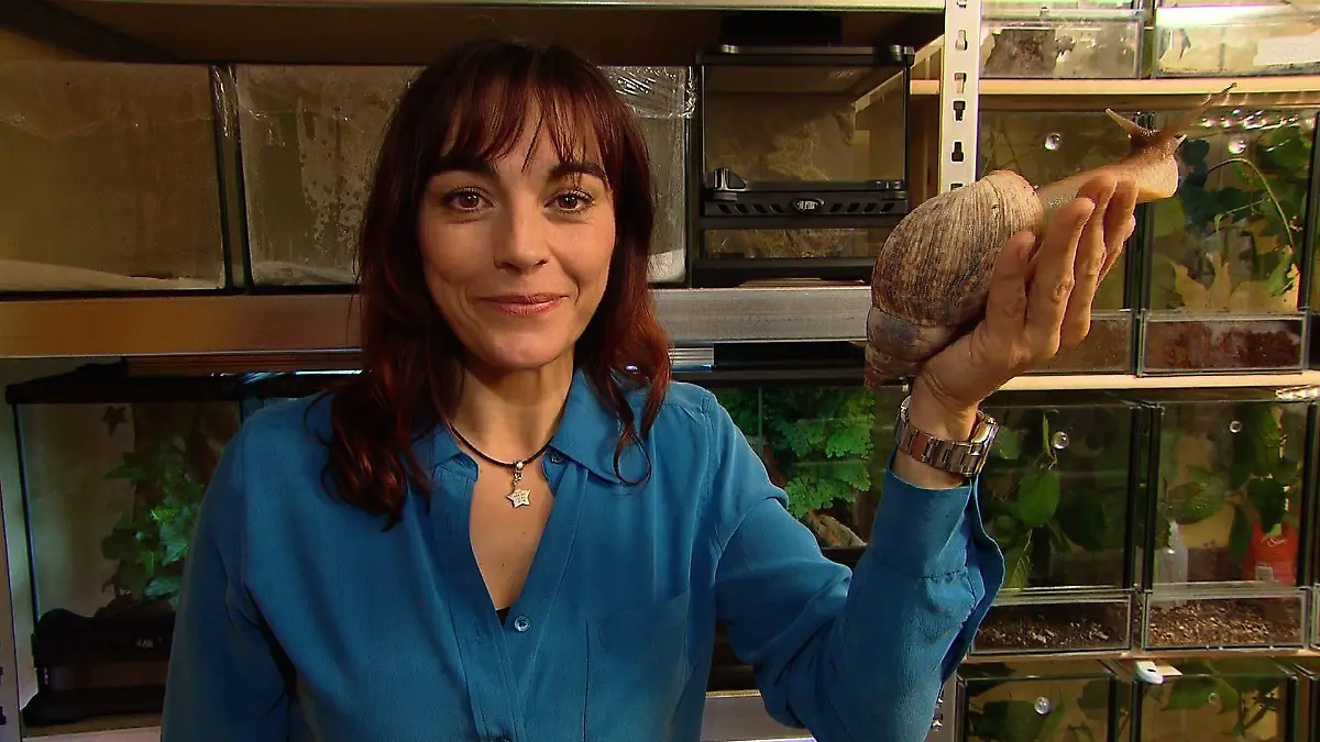 Tiergeschichten2 - Diana und Afrikanische Achatschnecke