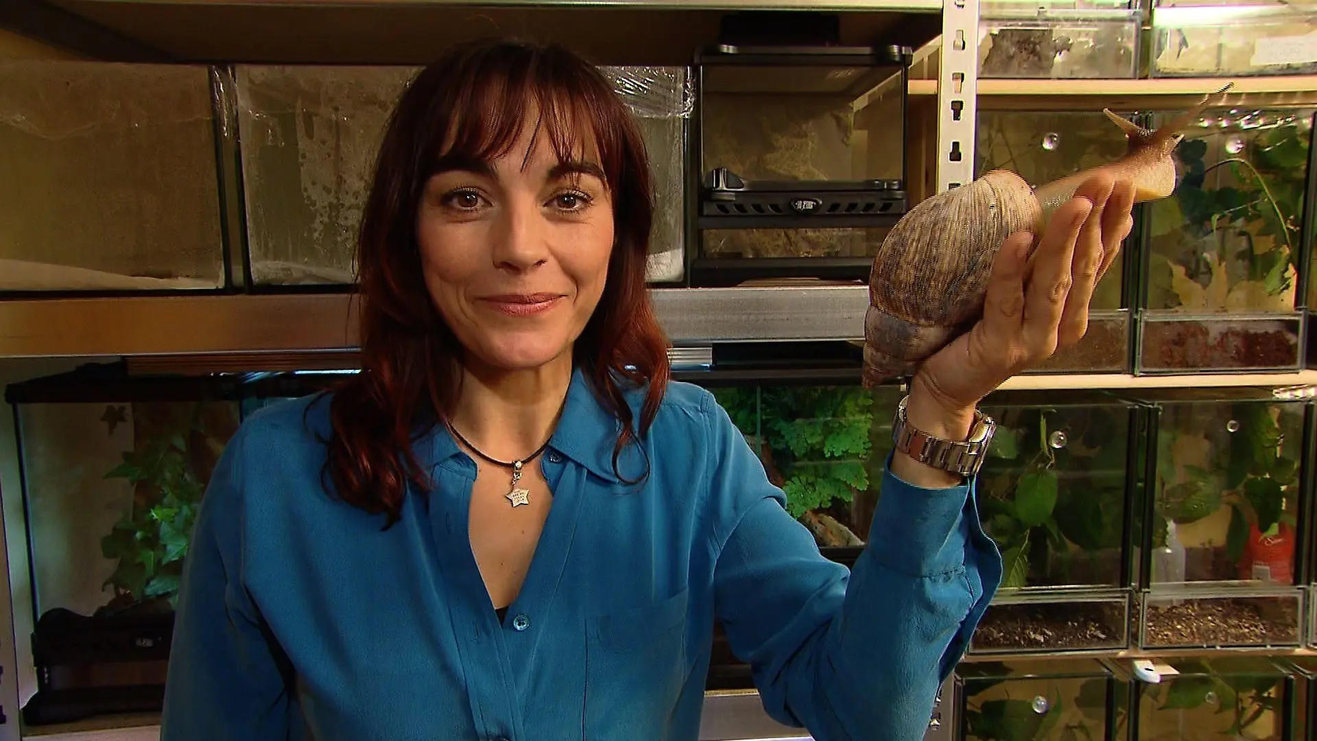 Tiergeschichten2 - Diana und Afrikanische Achatschnecke