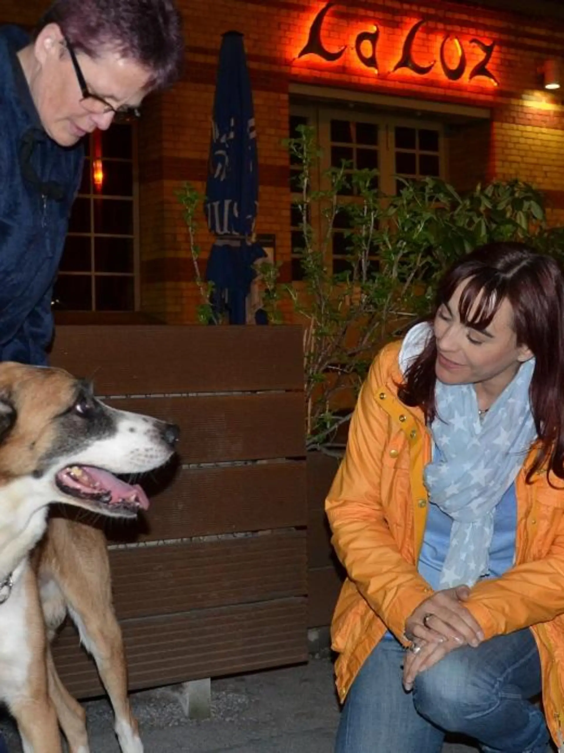 Tiergeschichten1 - VOX-DOCMA TV - Diana und die amtliche Tierfngerin Manuela Backhaus retten einen herrenlosen Hund