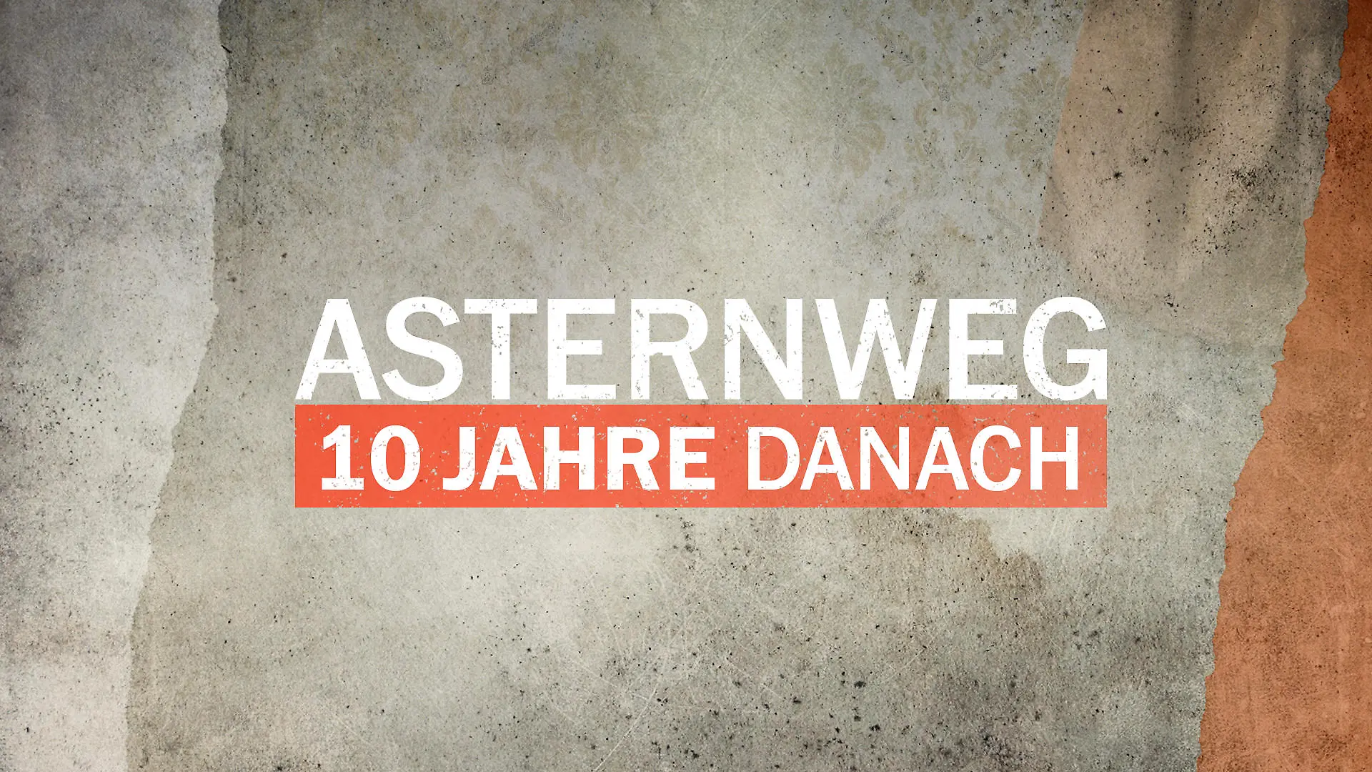 Am 15. und 22. Oktober zeigt VOX die Sozial-Dokumentation "Asternweg – 10 Jahre danach". Rund ein Jahrzehnt nach den preisgekrönten Filmen "Asternweg – Eine Straße ohne Ausweg" (2015) und "Asternweg – Ein Jahr danach" (2016) führt der Kölner Sender die Langzeitbeobachtung fort. Über viele Monate hinweg begleitet VOX die Bewohner:innen des von Armut geprägten Viertels in Kaiserslautern und zeichnet dabei ein eindringliches Bild davon, was sich im Viertel, bei den Protagonist:innen und im gesellschaftlichen Umfeld verändert hat.