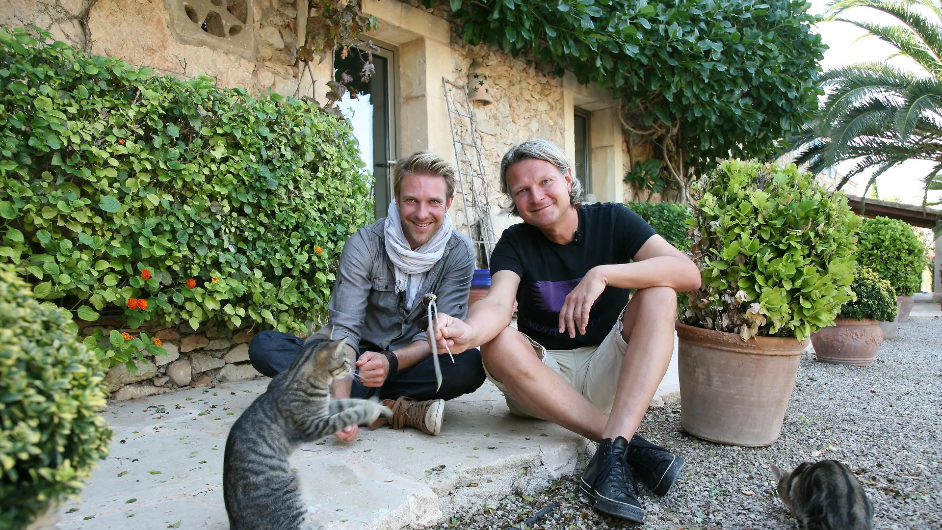 Tiere in Not - Frank Weber - Foto 2 - Mallorca Katzen