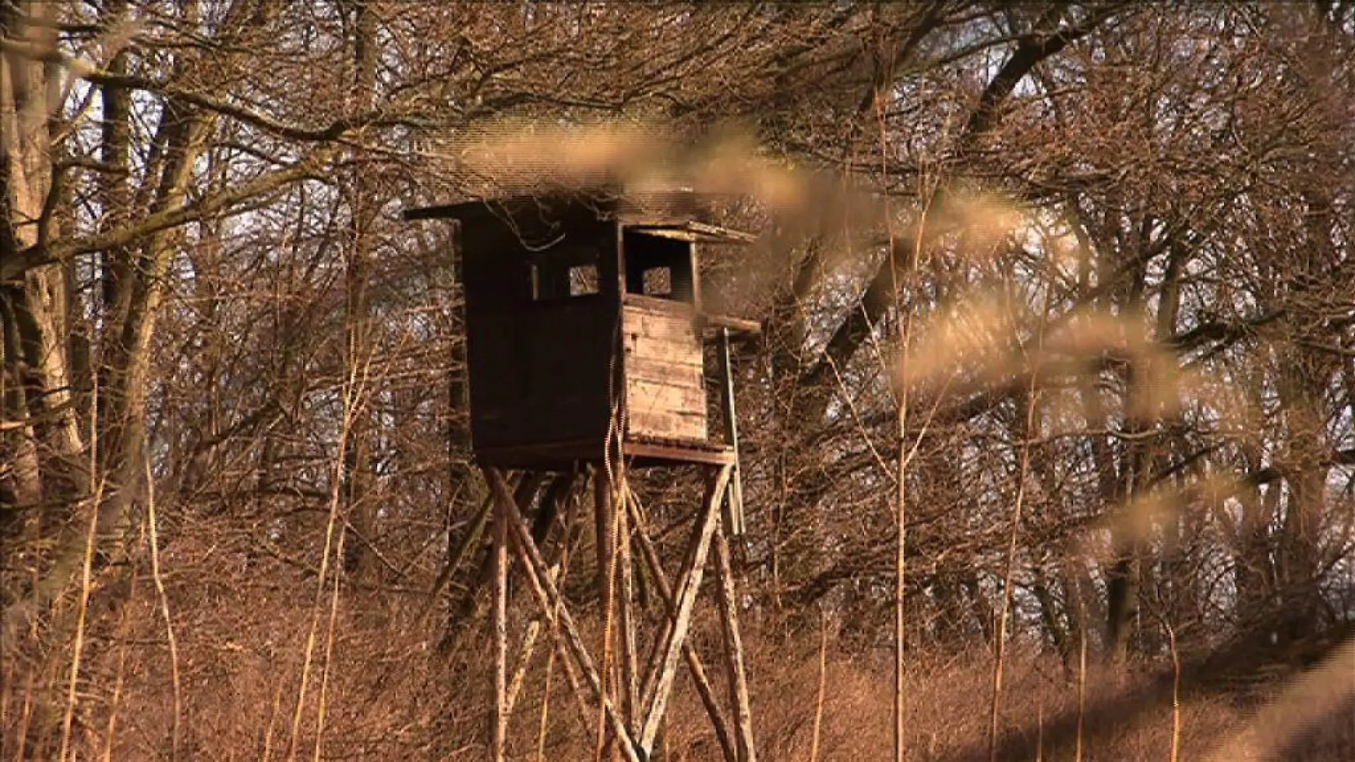 Hochsitz im Wald