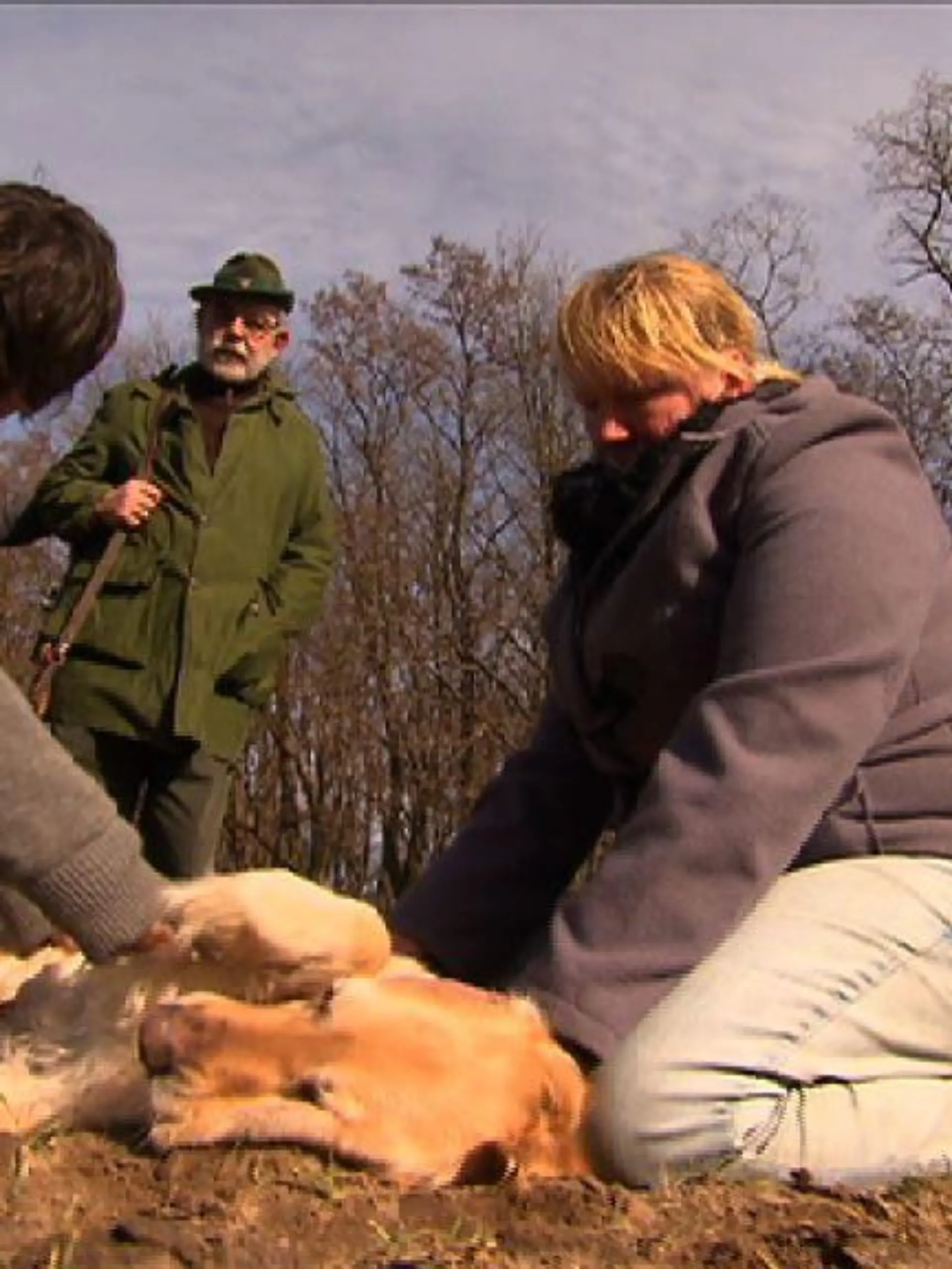 Vorschau 2 - Jger hat Hund angeschossen