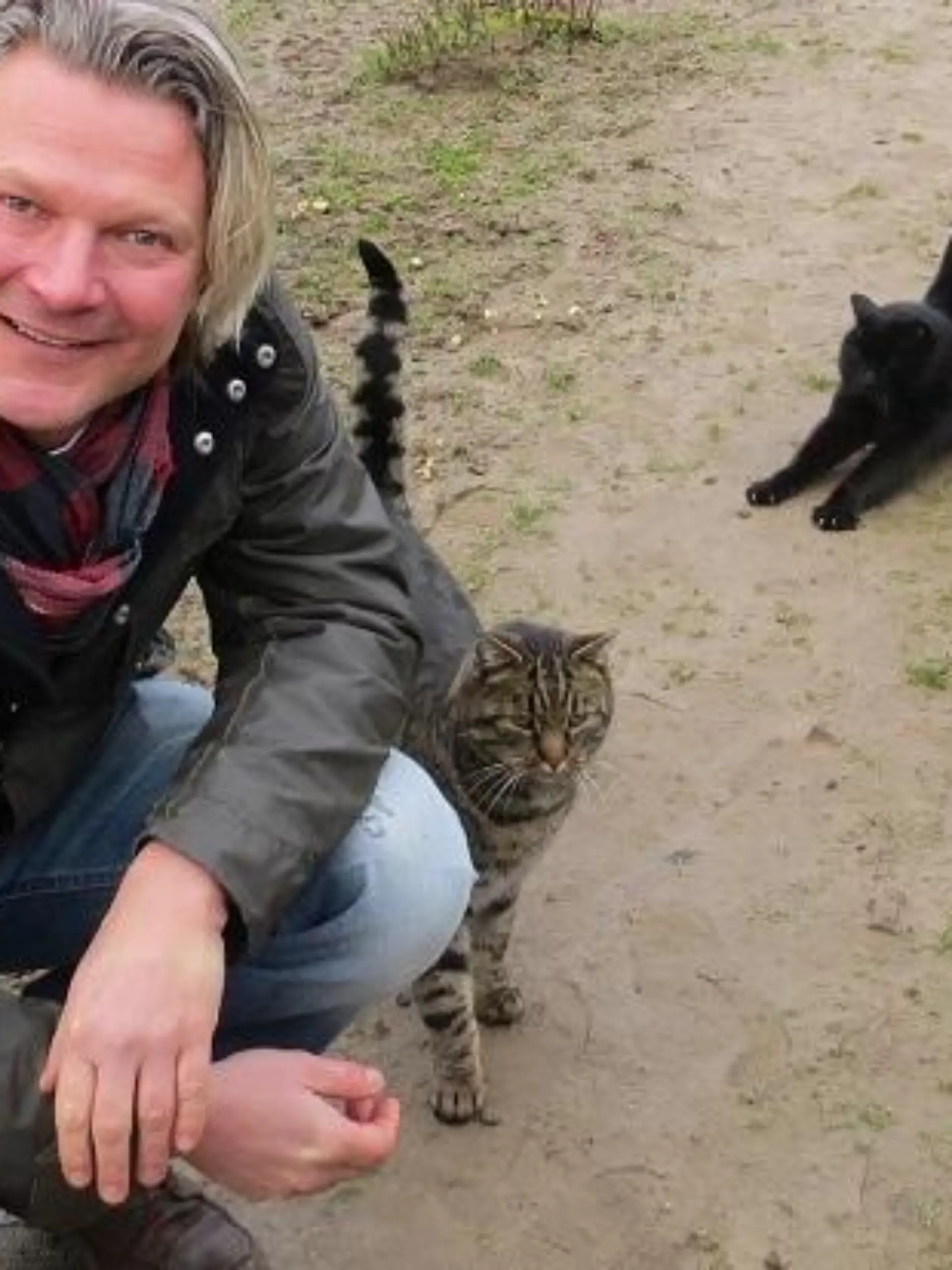 Tiere in Not - VOX-DOCMA TV - Frank und Rgener Katzen auf dem Gelnde des Kleingartenvereins