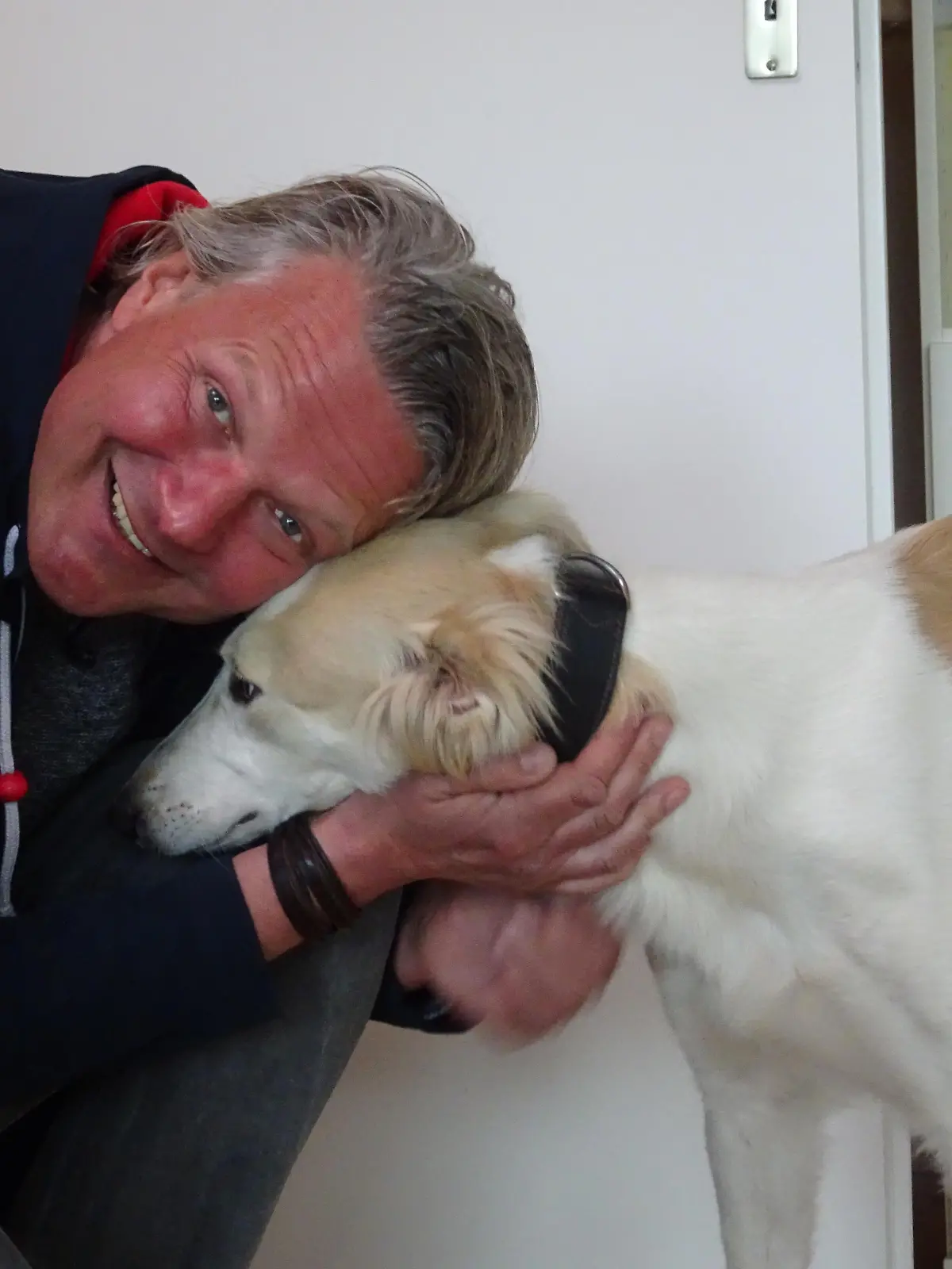 FW - Greyhounds Irland Vermittlung VOX DOCMA TV