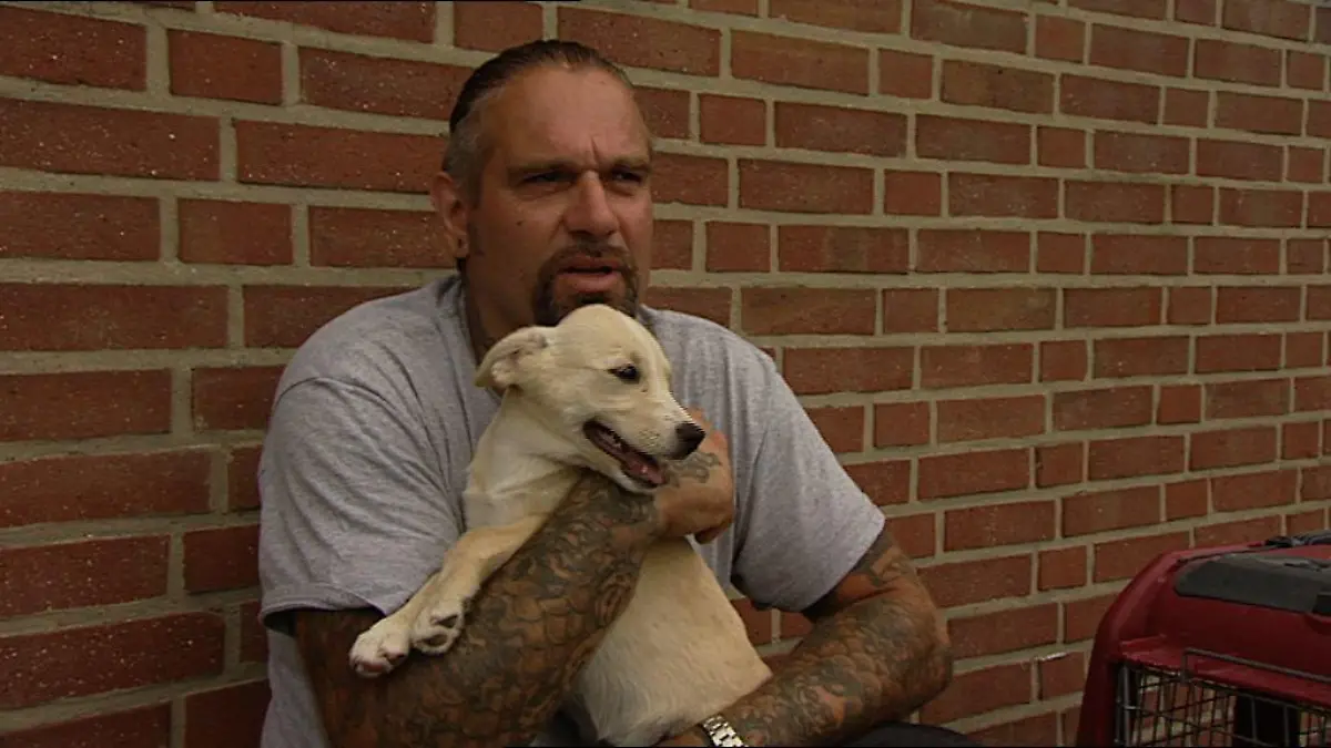 Tiergeschichten3 - Bild 2 - Ralf Seeger und Hundefamilie - Abschiedsschmerz