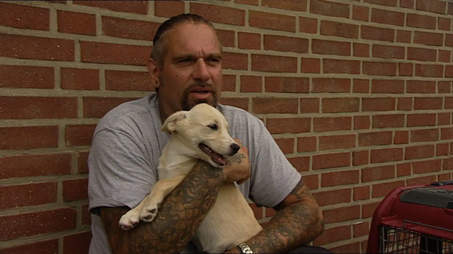 Tiergeschichten3 - Bild 2 - Ralf Seeger und Hundefamilie - Abschiedsschmerz
