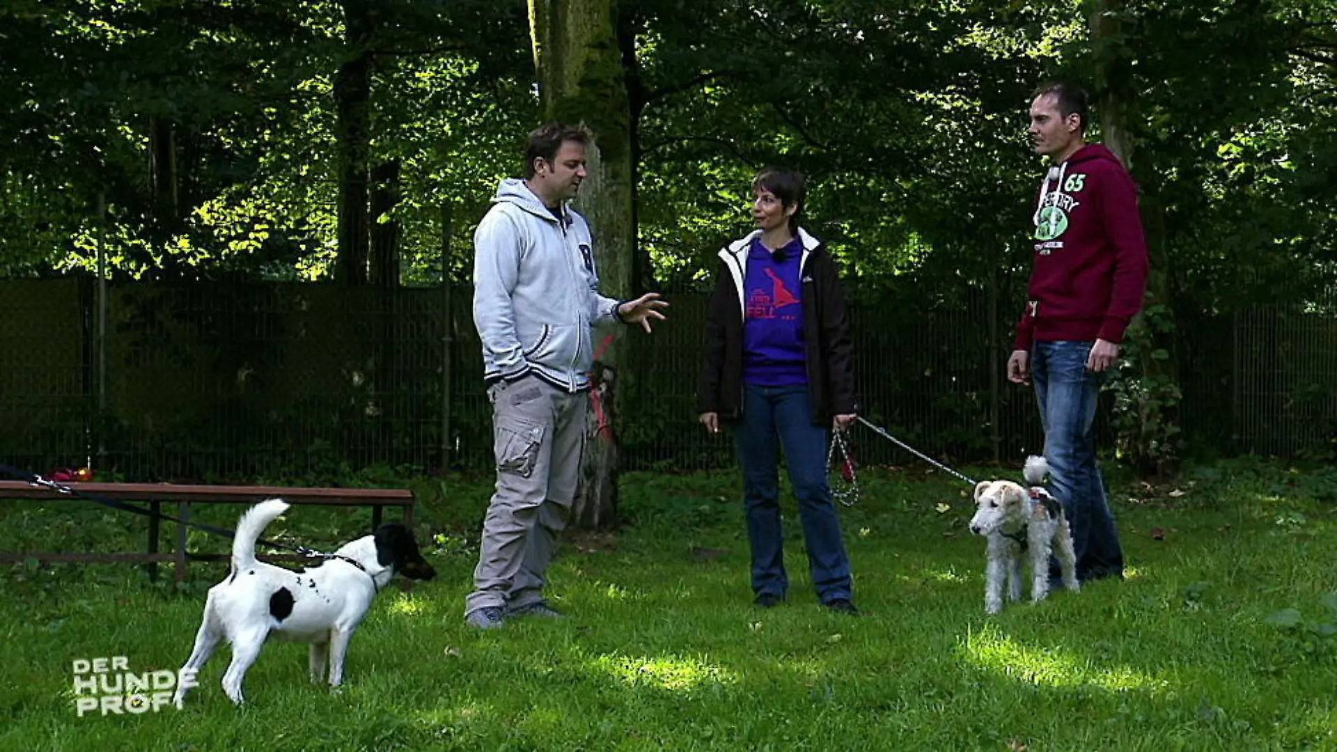 Leo nachklapp2Video