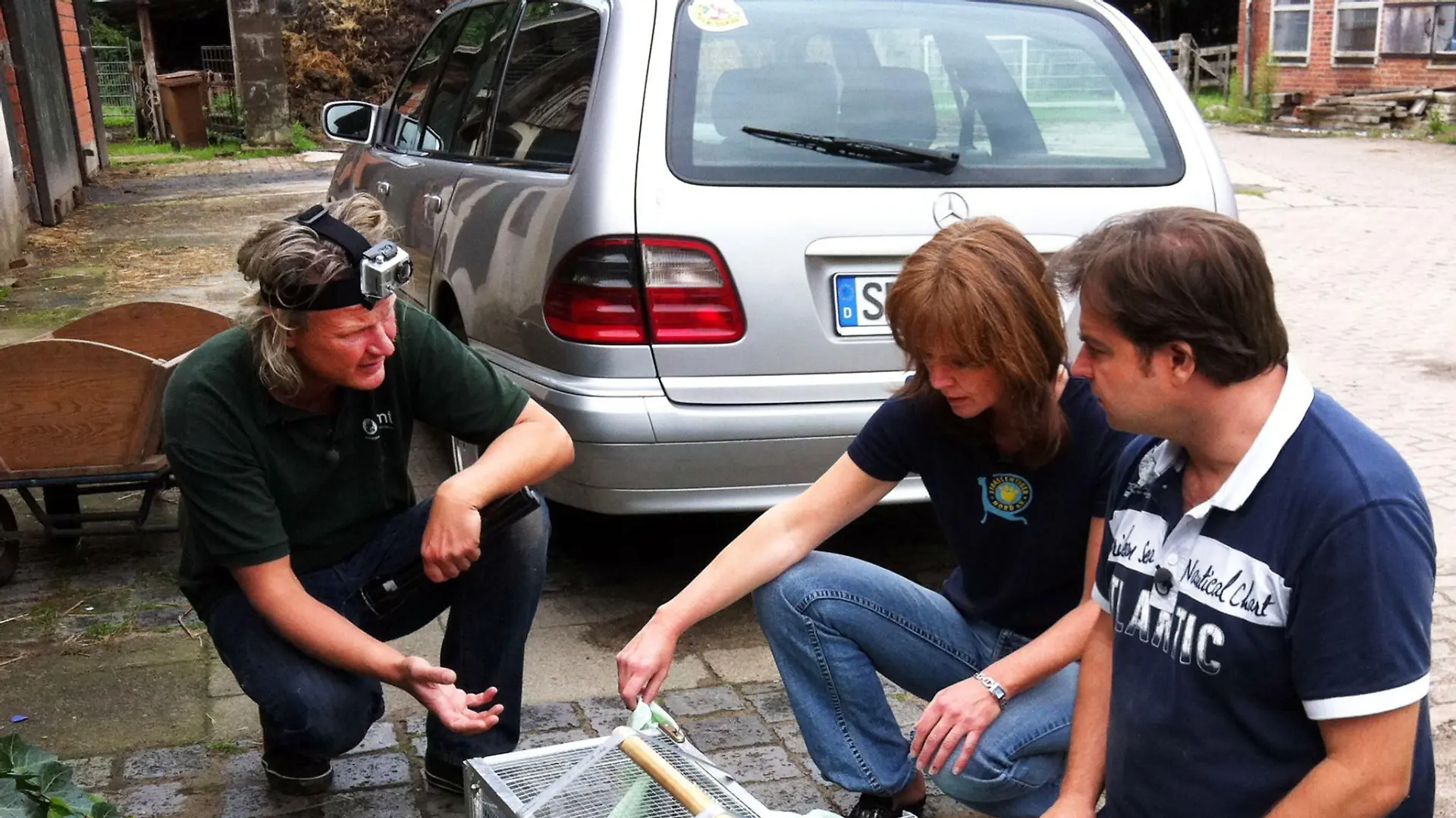 Frank Weber (l.) und Martin Rütter haben noch eine verwilderte Katze gefunden. Zusammen mit Claudia Keck vom Tierschutzverein "Straßentiger Nord e.V." untersuchen die Experten die kleine Katze.