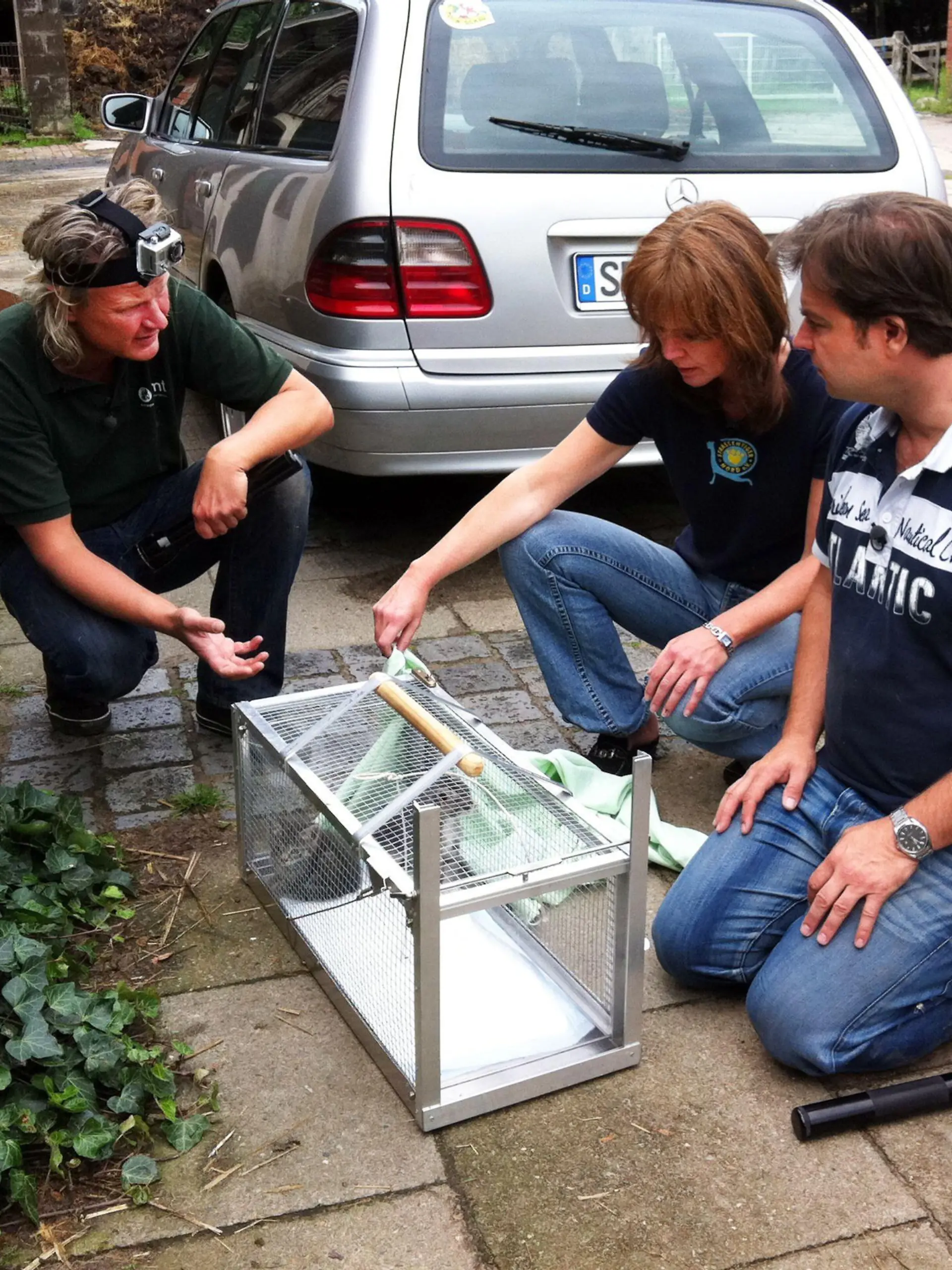 Frank Weber (l.) und Martin Rütter haben noch eine verwilderte Katze gefunden. Zusammen mit Claudia Keck vom Tierschutzverein "Straßentiger Nord e.V." untersuchen die Experten die kleine Katze.
