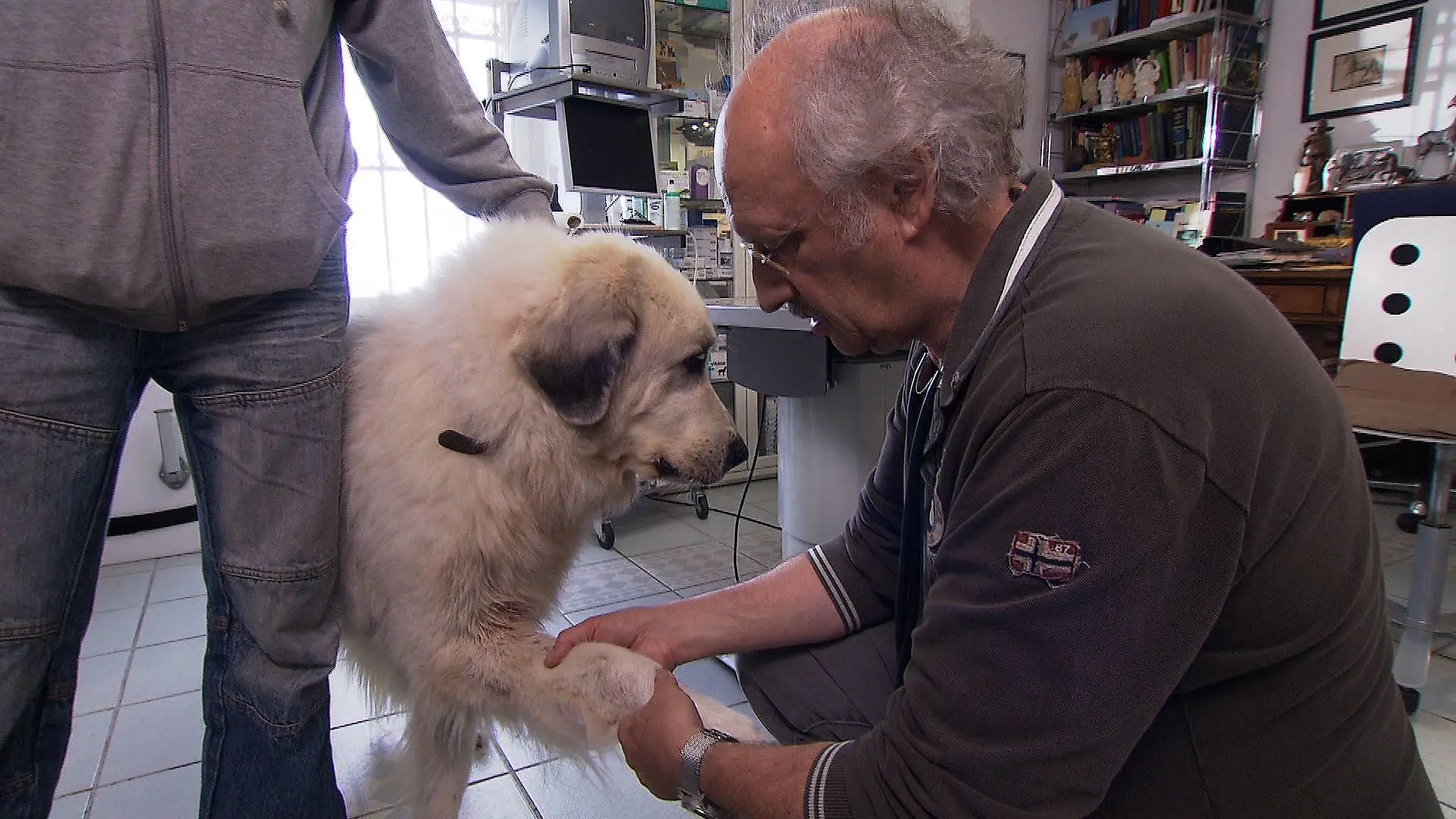 Sprechstunde1 - Dr. Wolf und Hund mit Osteosarkom
