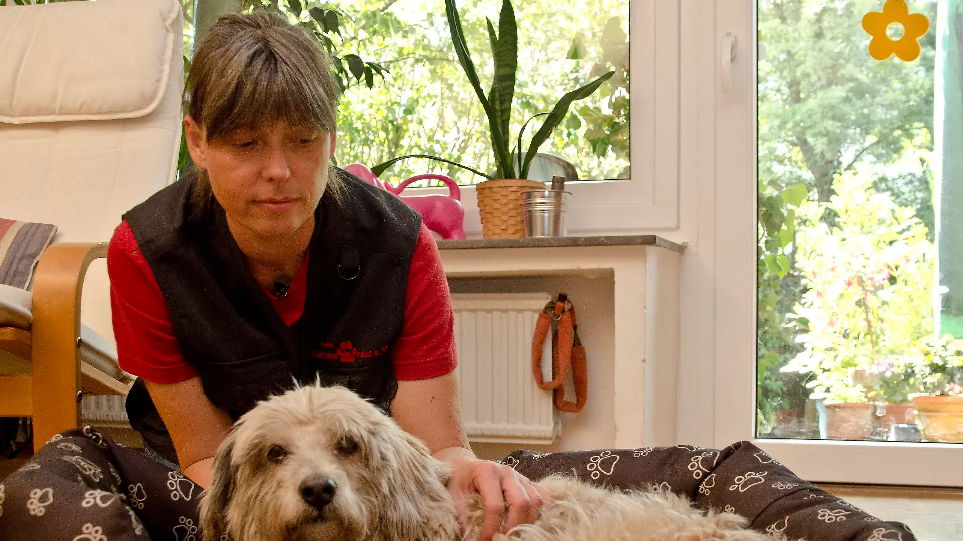 Tiergeschichten 3 - 2 Bambi und Susanne Hunscher