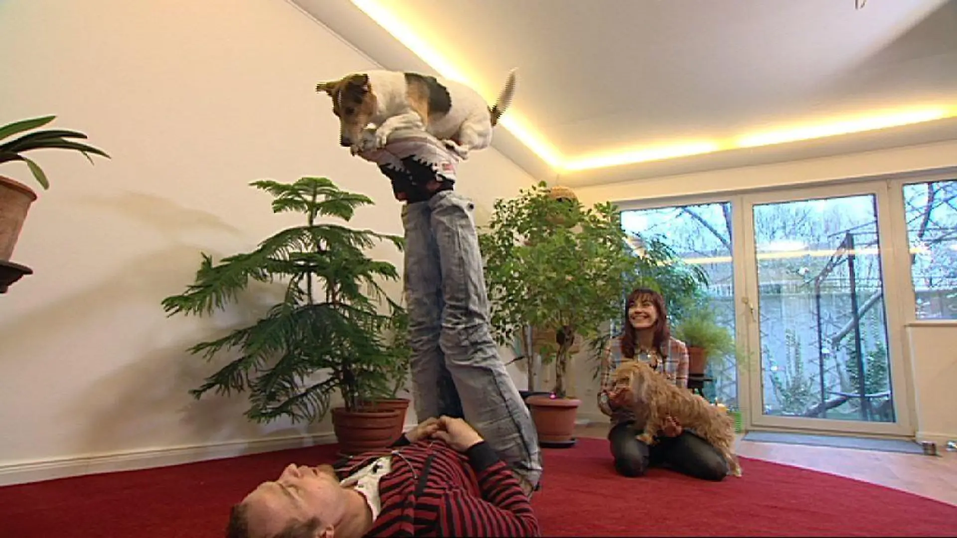 Tiergeschichten 1 - Bild 2 - Yvo Antoni zeigt Diana akrobatische Tricks