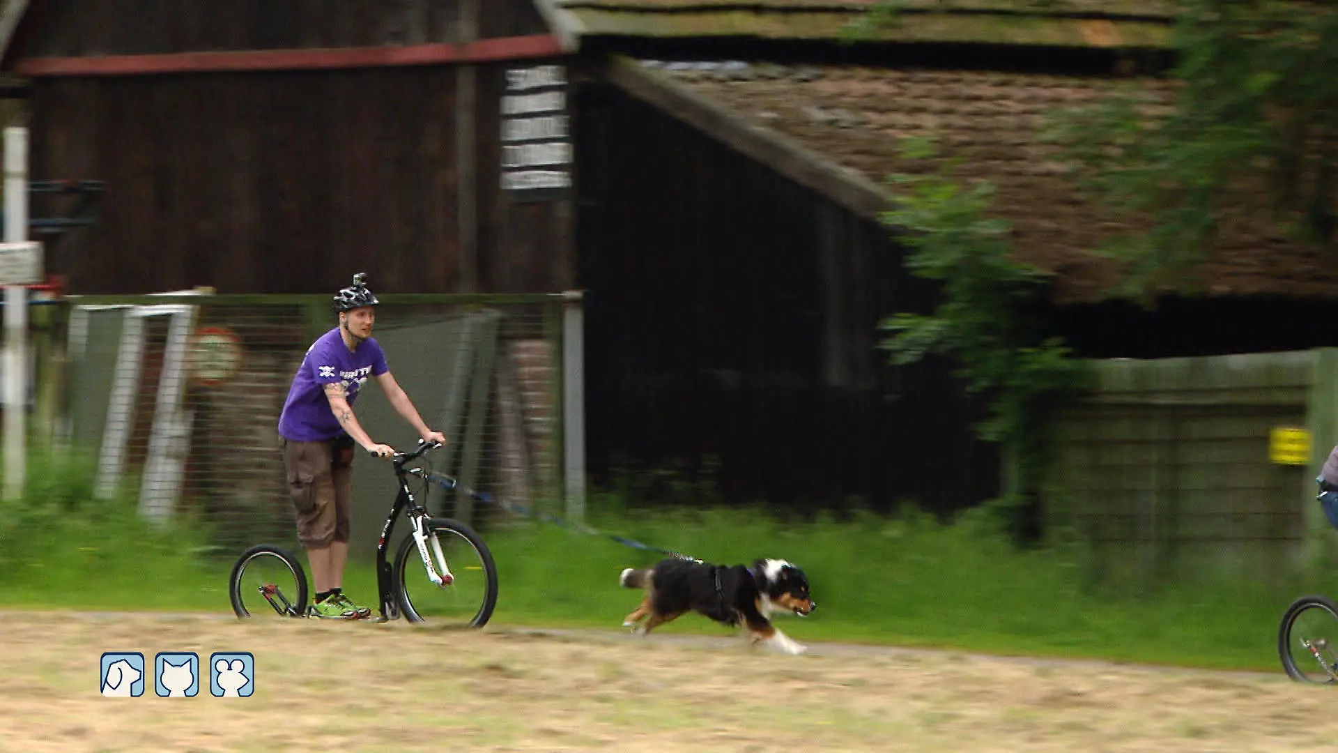 Diana Dogscooter 2 VOX DOCMA TV