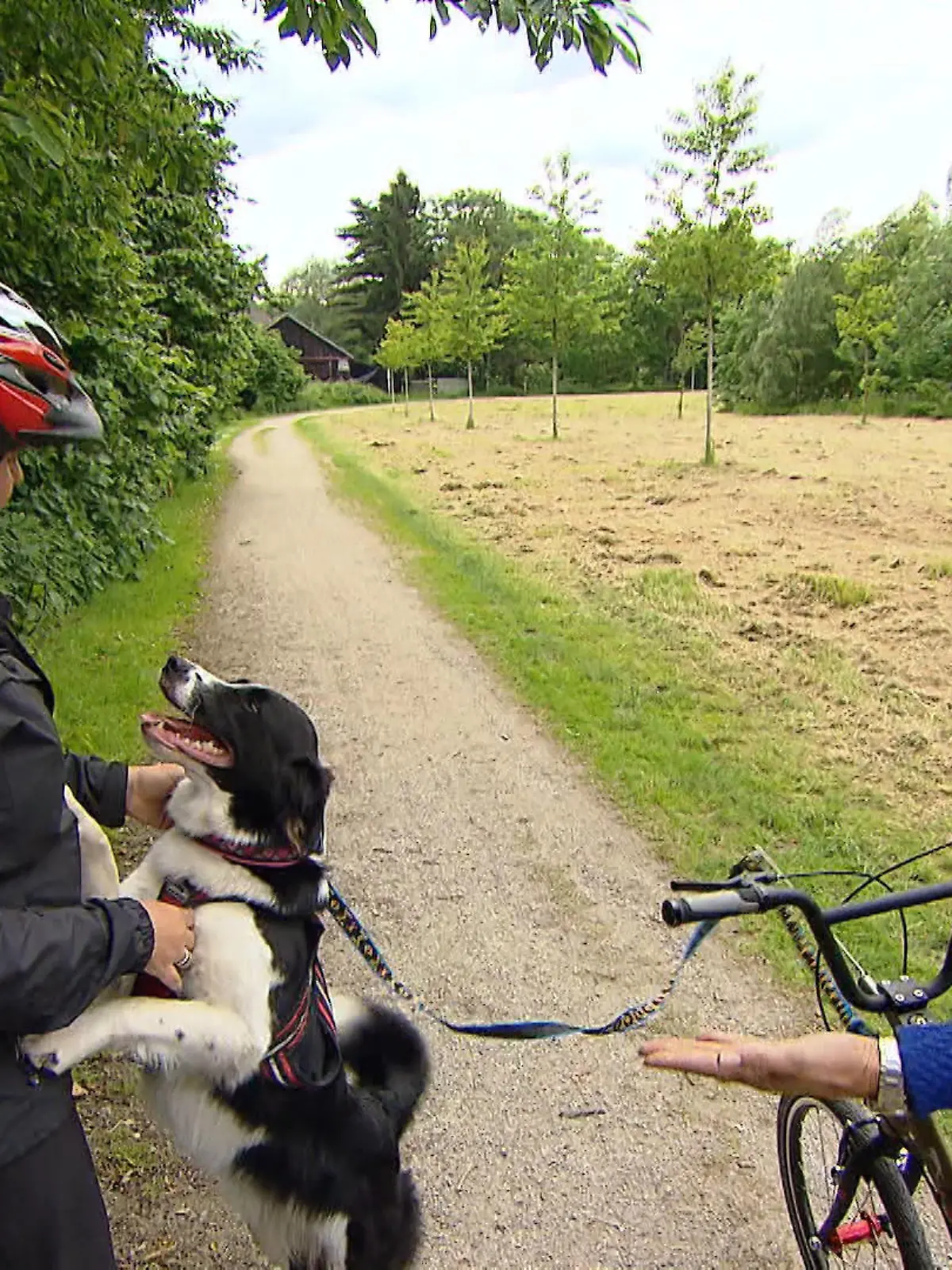 Diana Dogscooter 1.VOX DOCMA TV