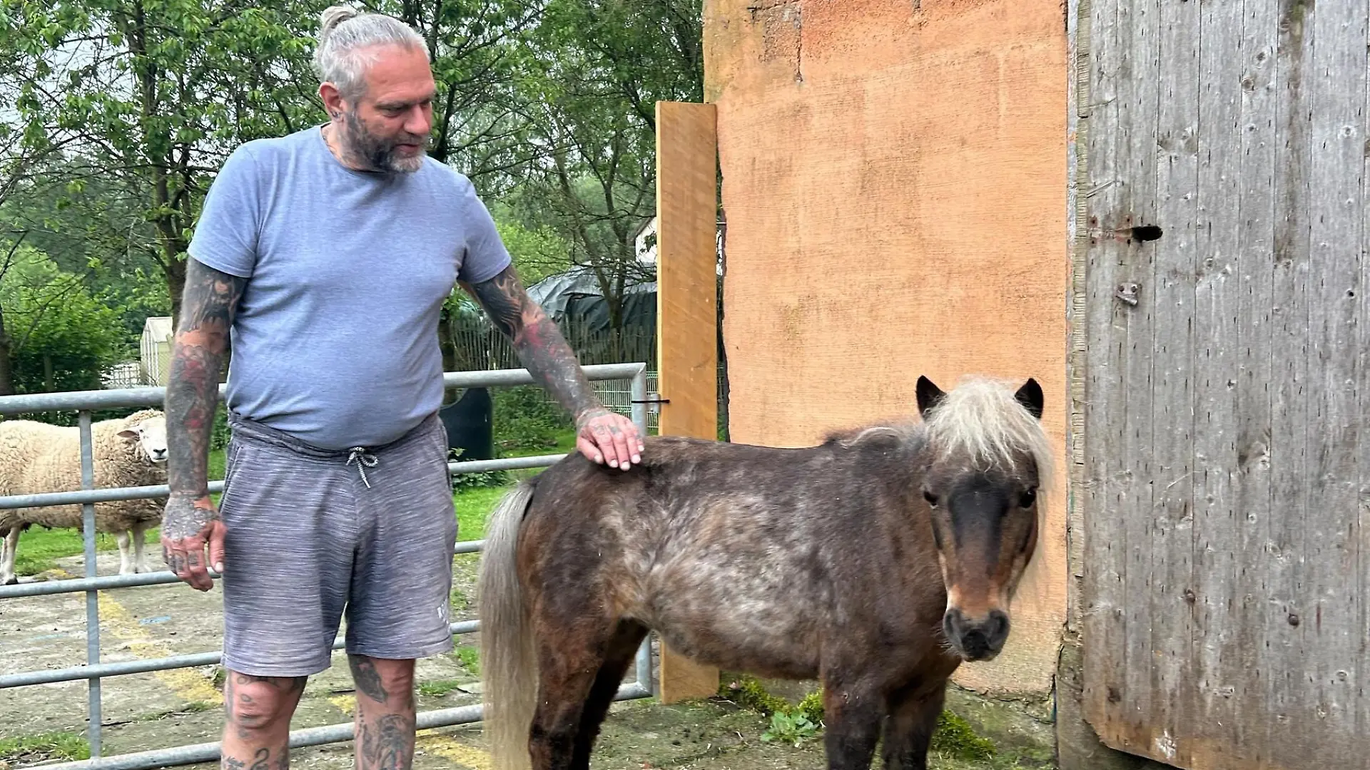 Ralf Seeger
+++ Die Verwendung des sendungsbezogenen Materials ist nur mit dem Hinweis und Verlinkung auf RTL+ gestattet. +++