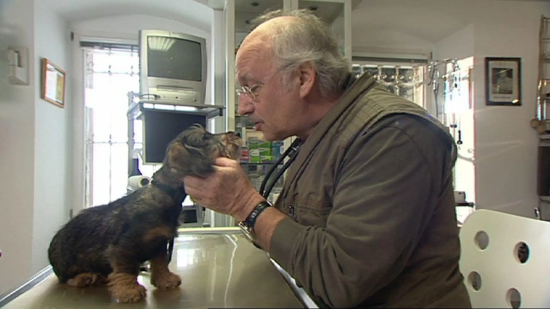 Sprechstunde - VOX - Dr. Wolf behandelt Dackel