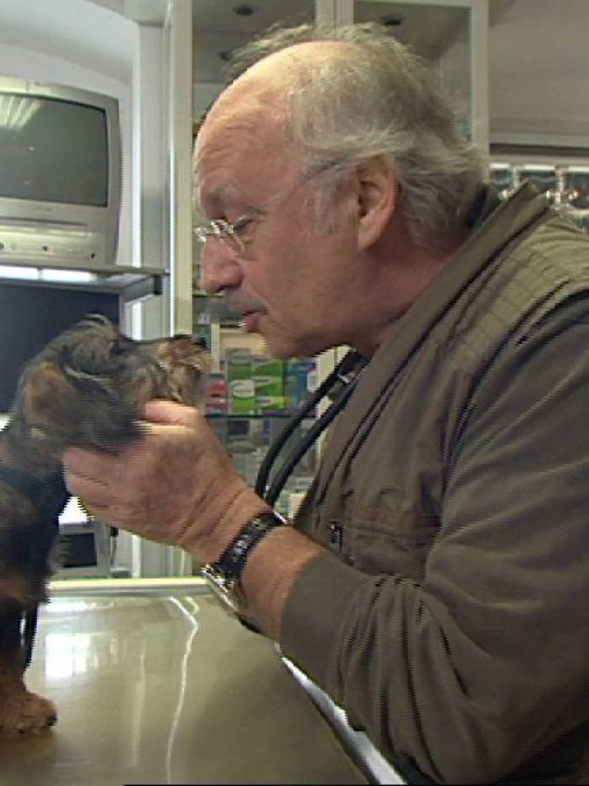 Sprechstunde - VOX - Dr. Wolf behandelt Dackel