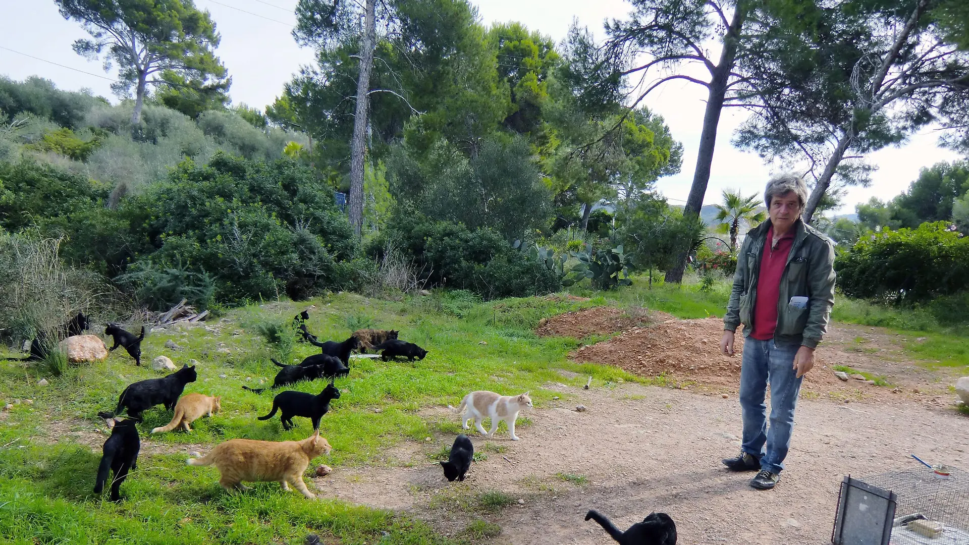 Karl Miesel (54) vom Tierheim Calvia bei der Fütterung und Fangaktion verwilderter Katzen.