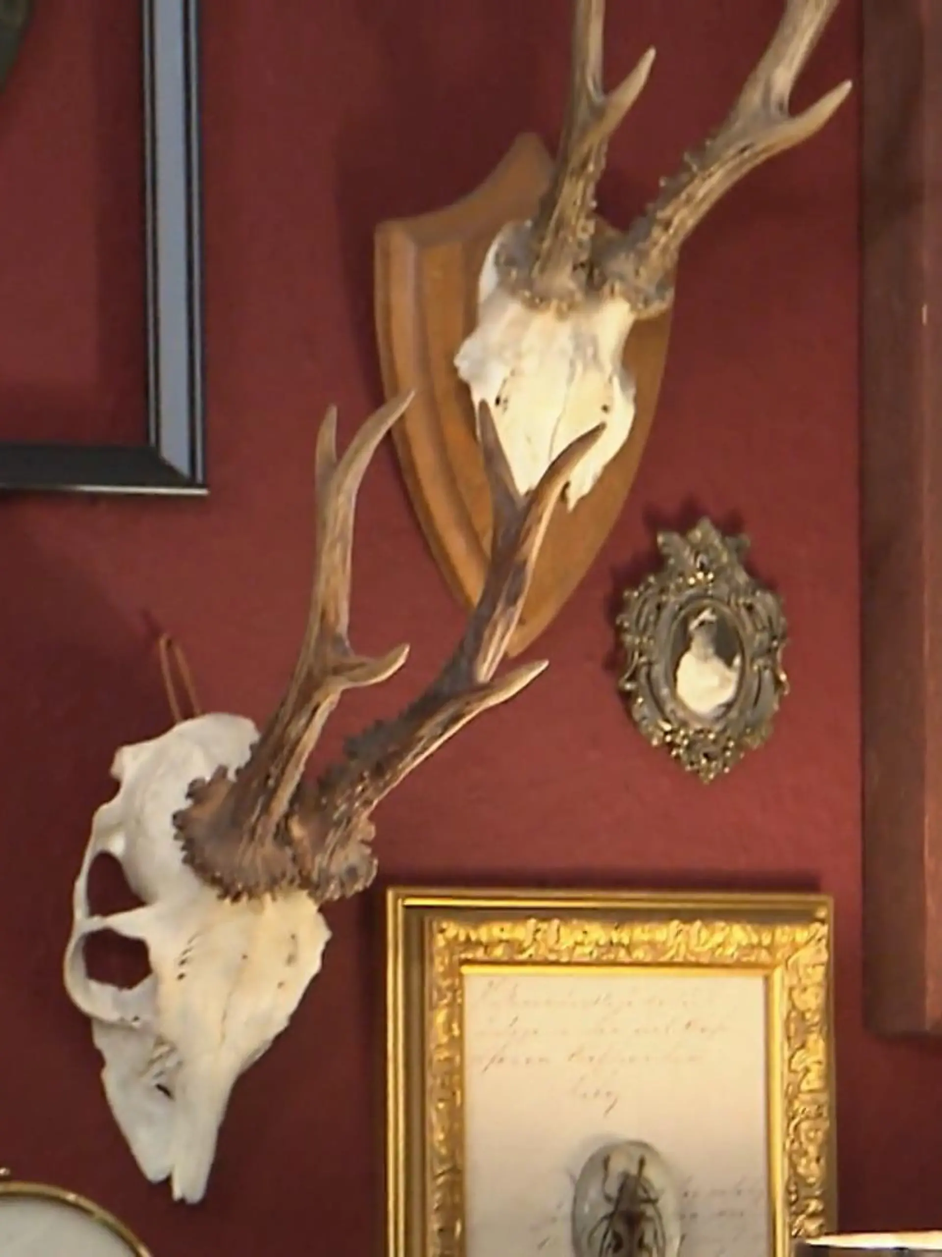 Bei Sabrina gibt es an der Wand einiges zu sehen