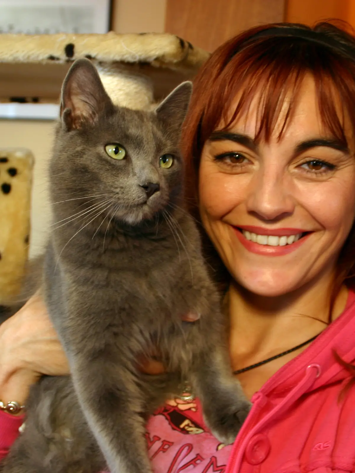 Tiergeschichten1 - Nebelungkatzen