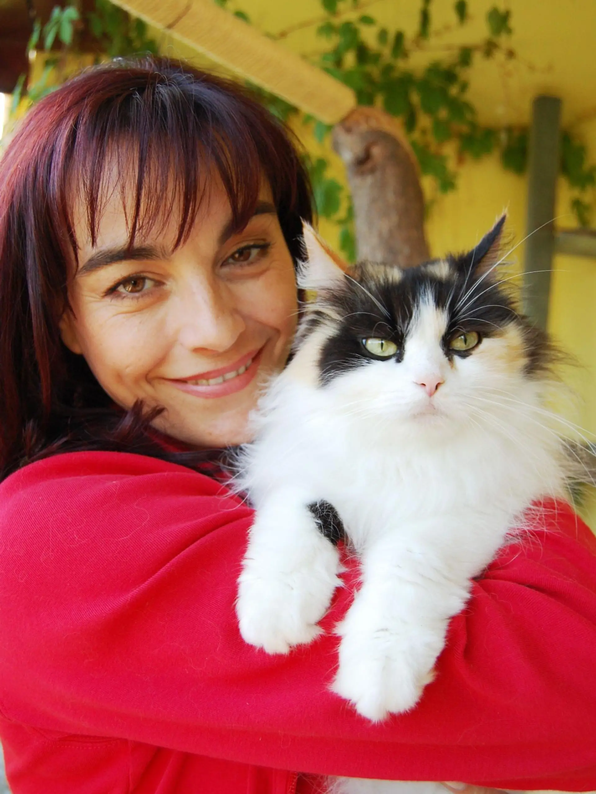 HKM Moderatorin Diana Eichhorn stellt das neue Modell einer uralten Katzenrasse vor: Die Perserkatze mit Nase.