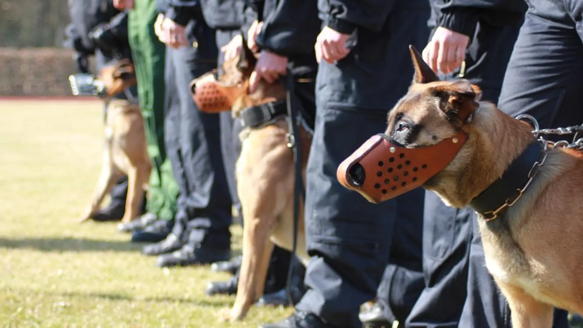 Tiergeschichten1 - VOX-DOCMA TV-BUNDESPOLIZEI - Die Bundespolizei Berlin beim Training