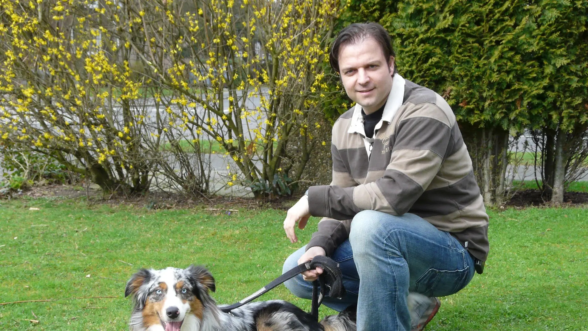 Sobald Australian Shepard Smartie andere Hunde sieht, wird er aggressiv. Schafft es Hundeprofi Martin Rütter, dass Smartie seine Aggressionen ablegt?