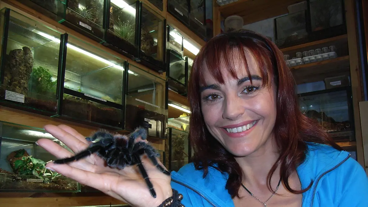 tiergeschichten1 vogelspinnen2