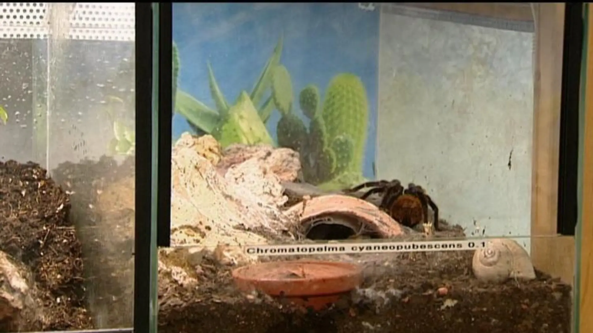tiergeschichten1 beispielterrarium
