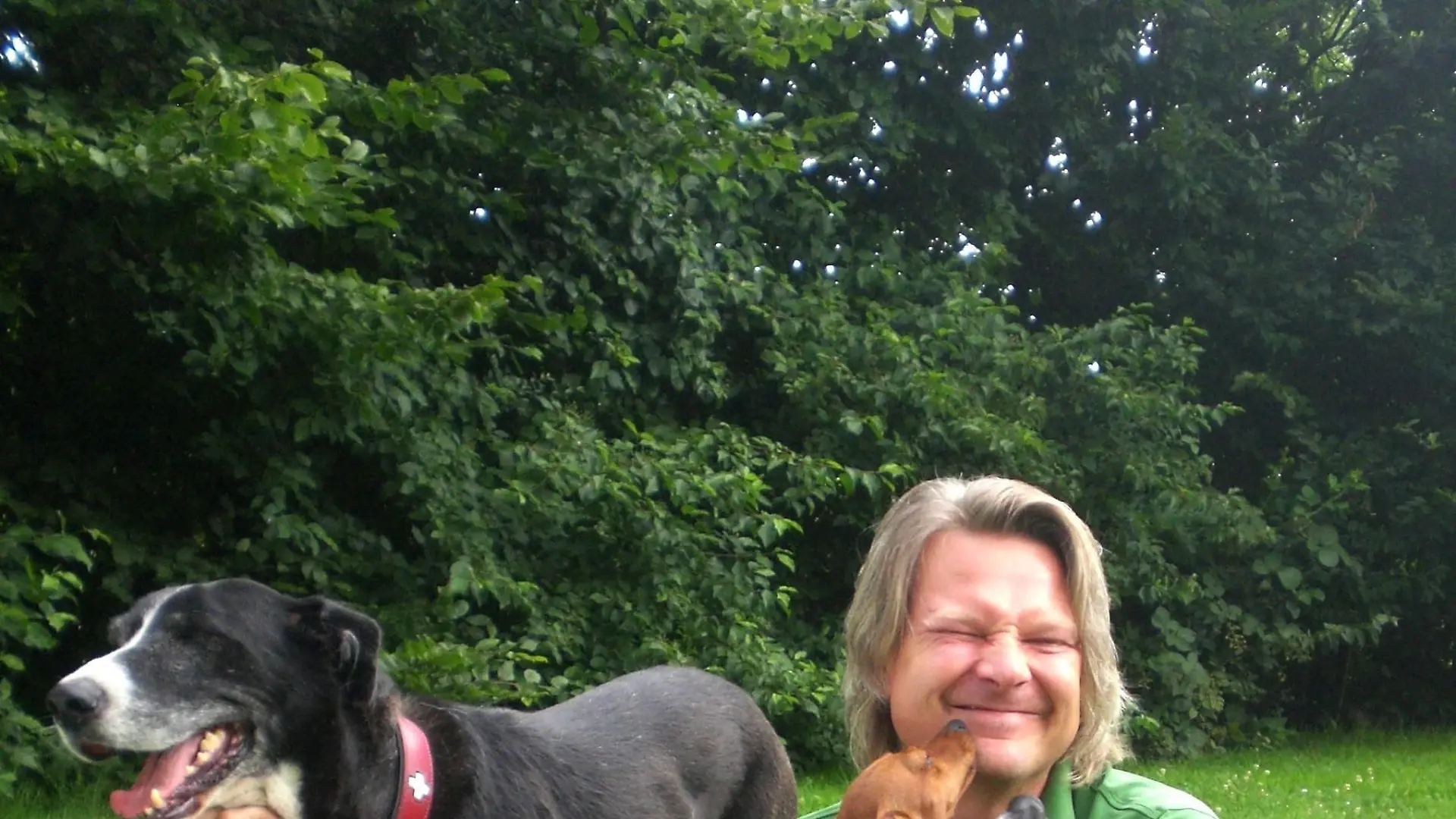 Der Hamburger Tierheimleiter Frank Weber, der mit seinen vier Hunden, Dogge Cosmo, Jack Russel Lucy, Pinscher Sui und Malteser Mix Luise, zusammen lebt, ist der Retter in Not. Er hilft Tieren ein neues Zuhasue zu finden, hilft bei der Hundeerziehung und kümmert sich um verhaltensgestörte Hunde.