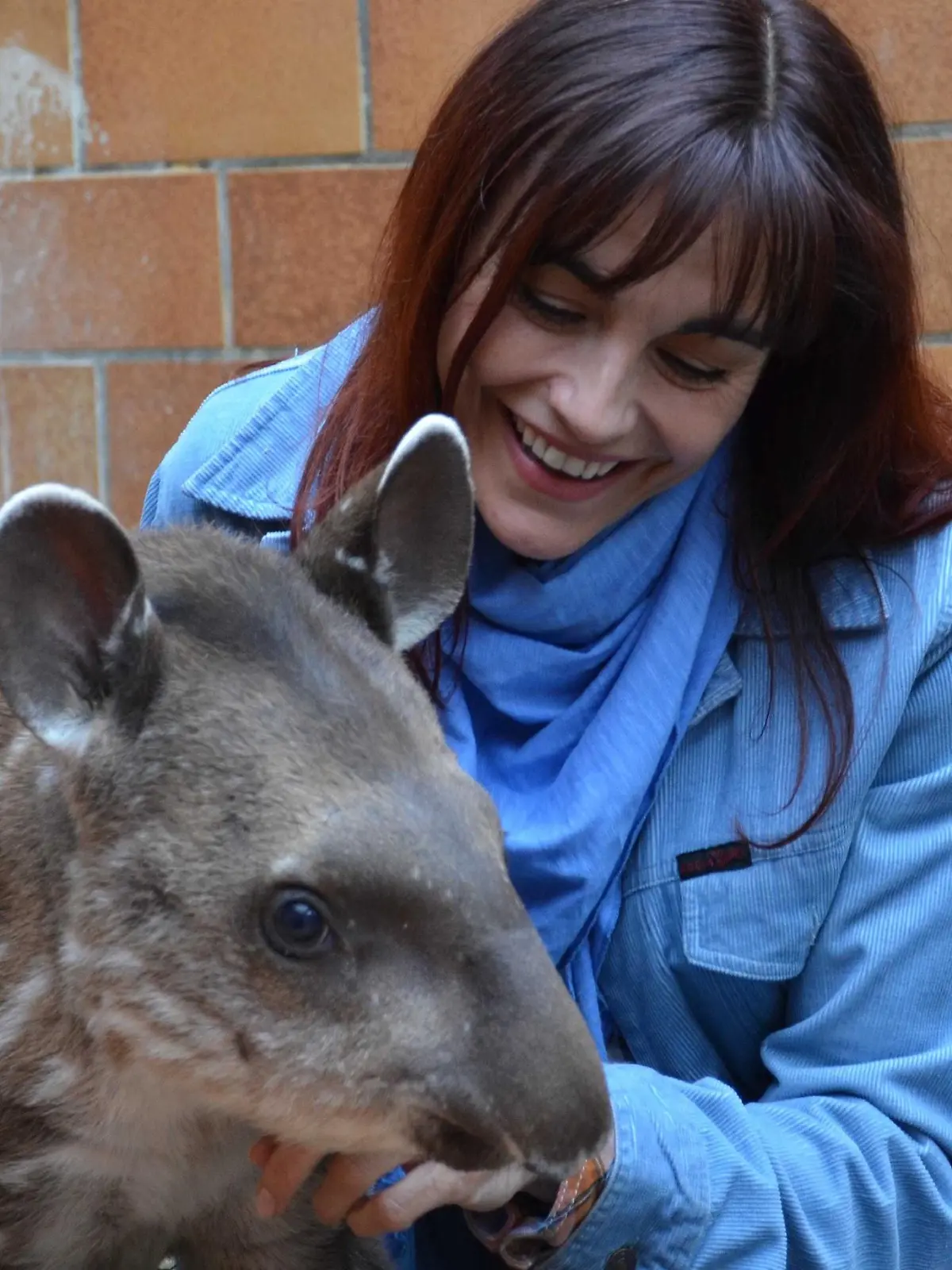 Tiergeschichten1 - Diana und Tapirbaby