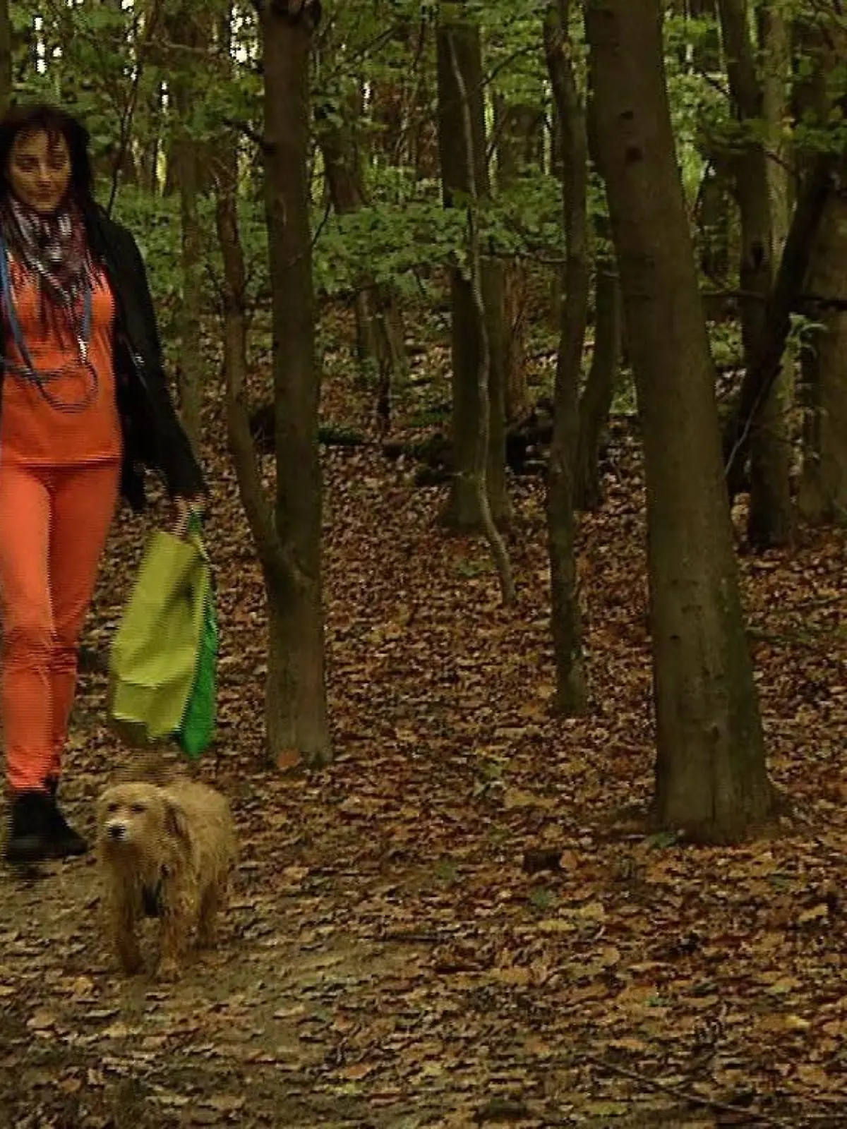 01 Natur-Mitbringsel