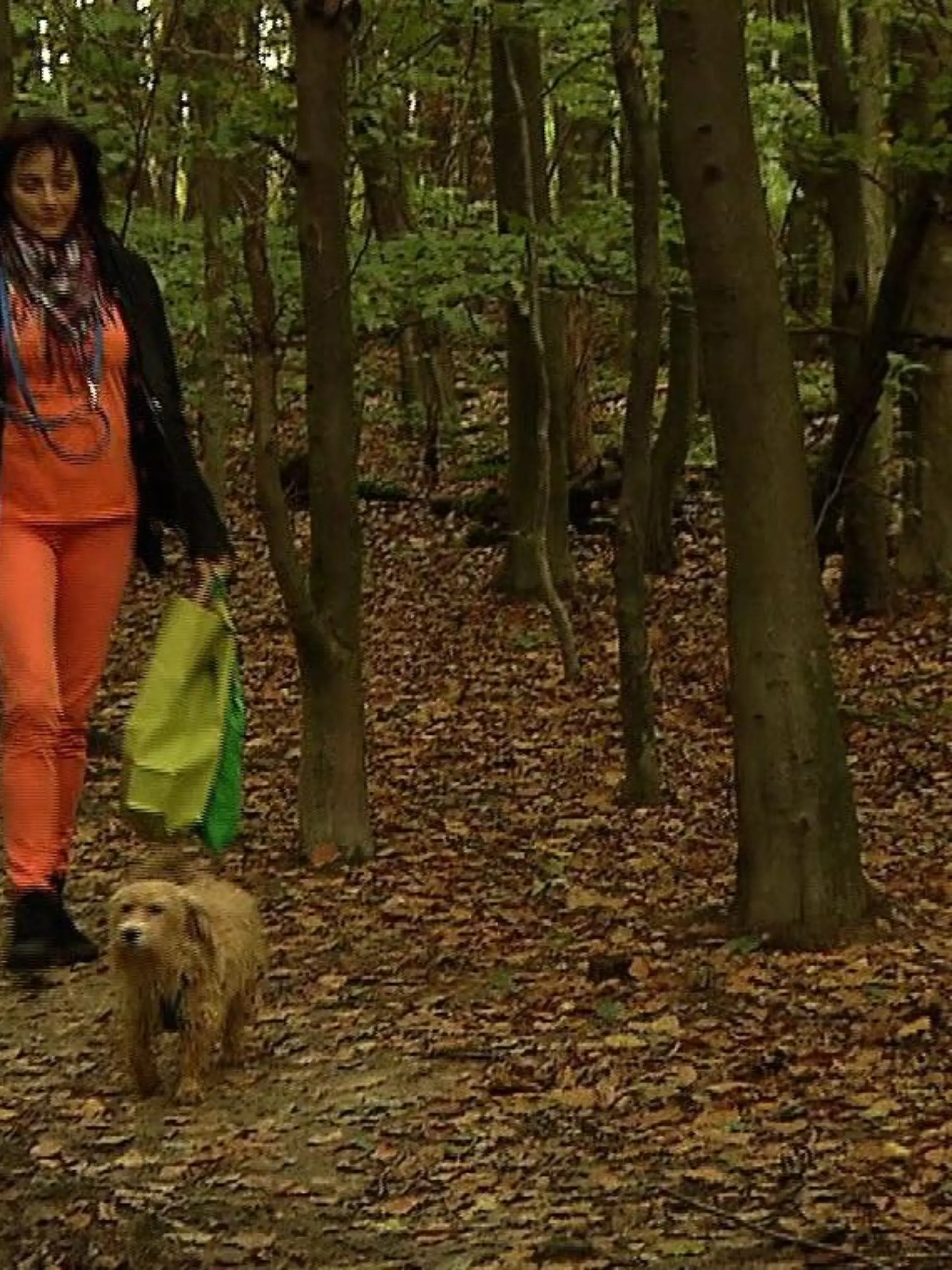 01 Natur-Mitbringsel