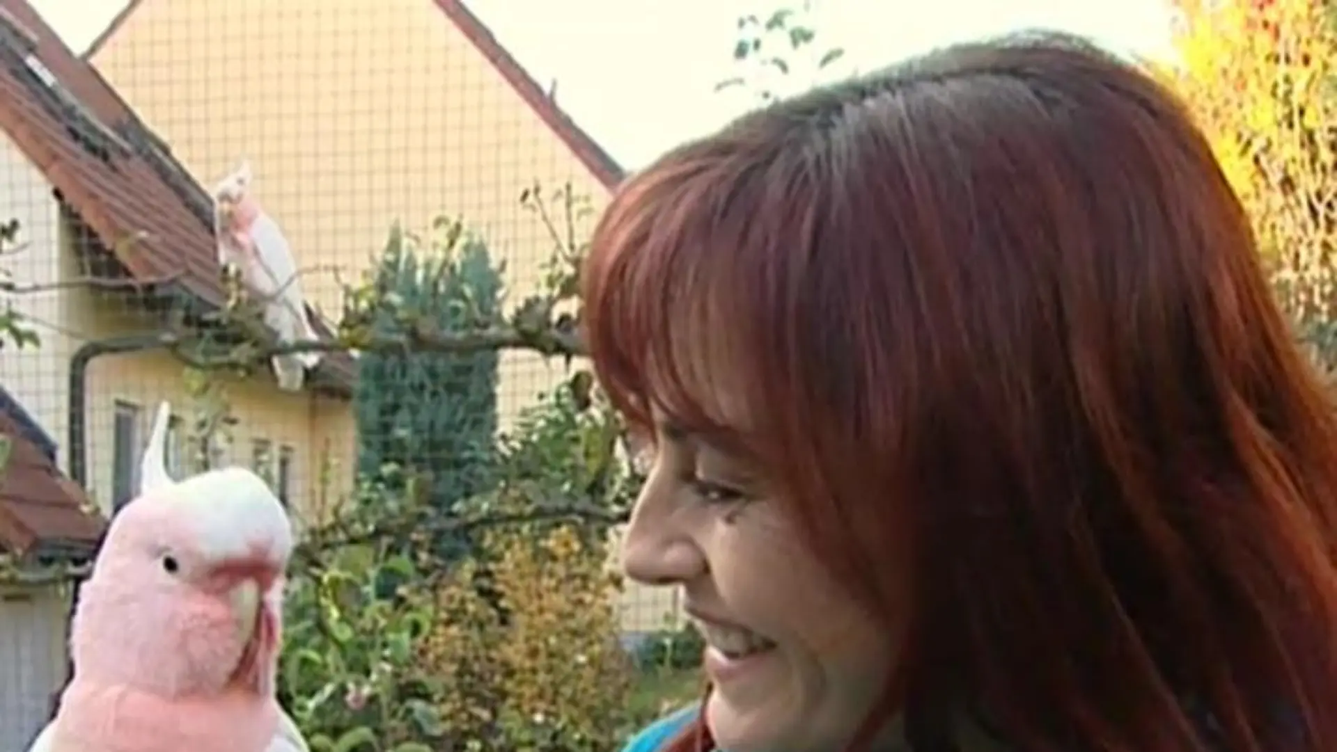 Tiergeschichten2 - Diana und Inka-Kakadu