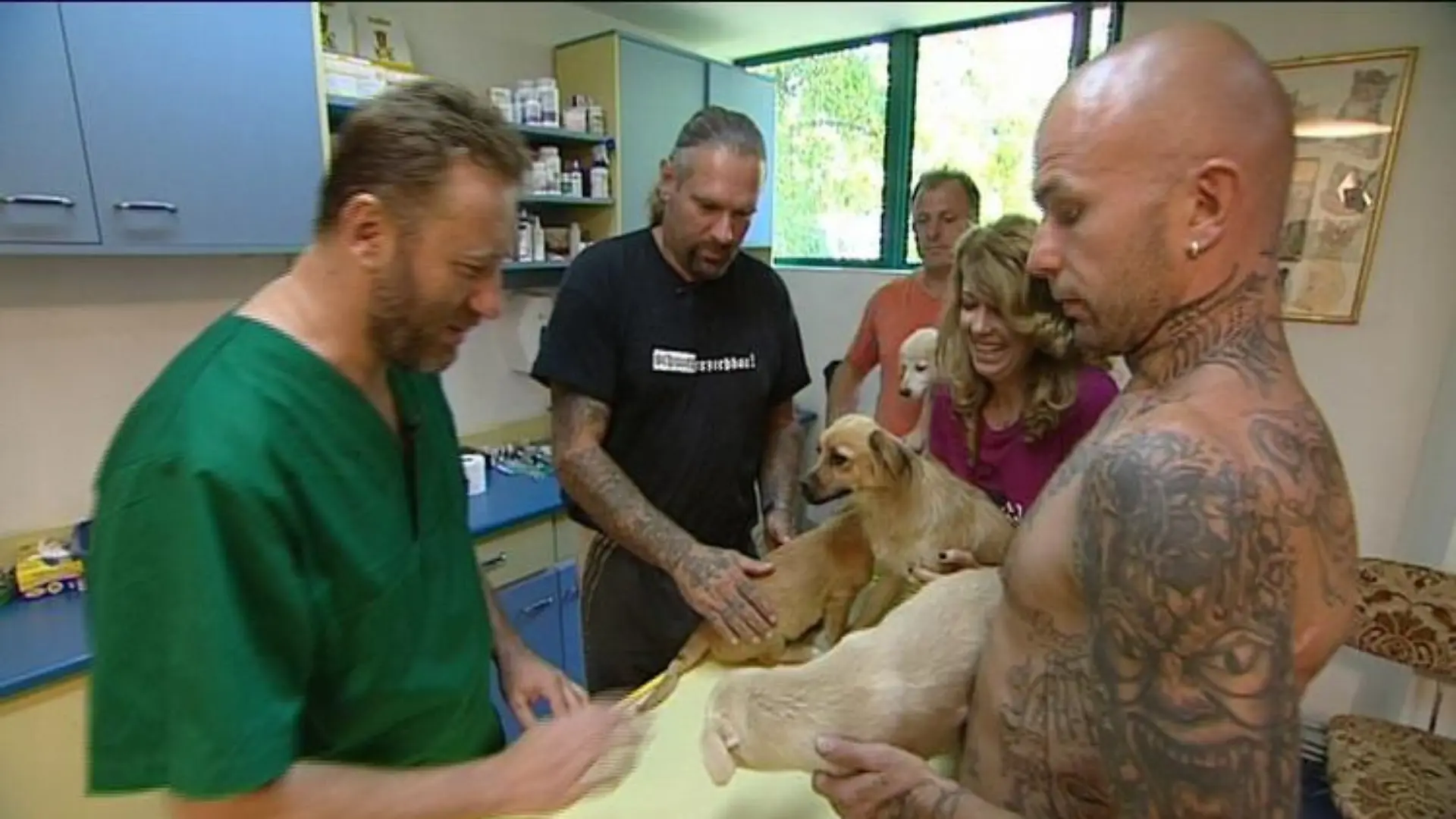 tiergesch3 hunde beim arzt