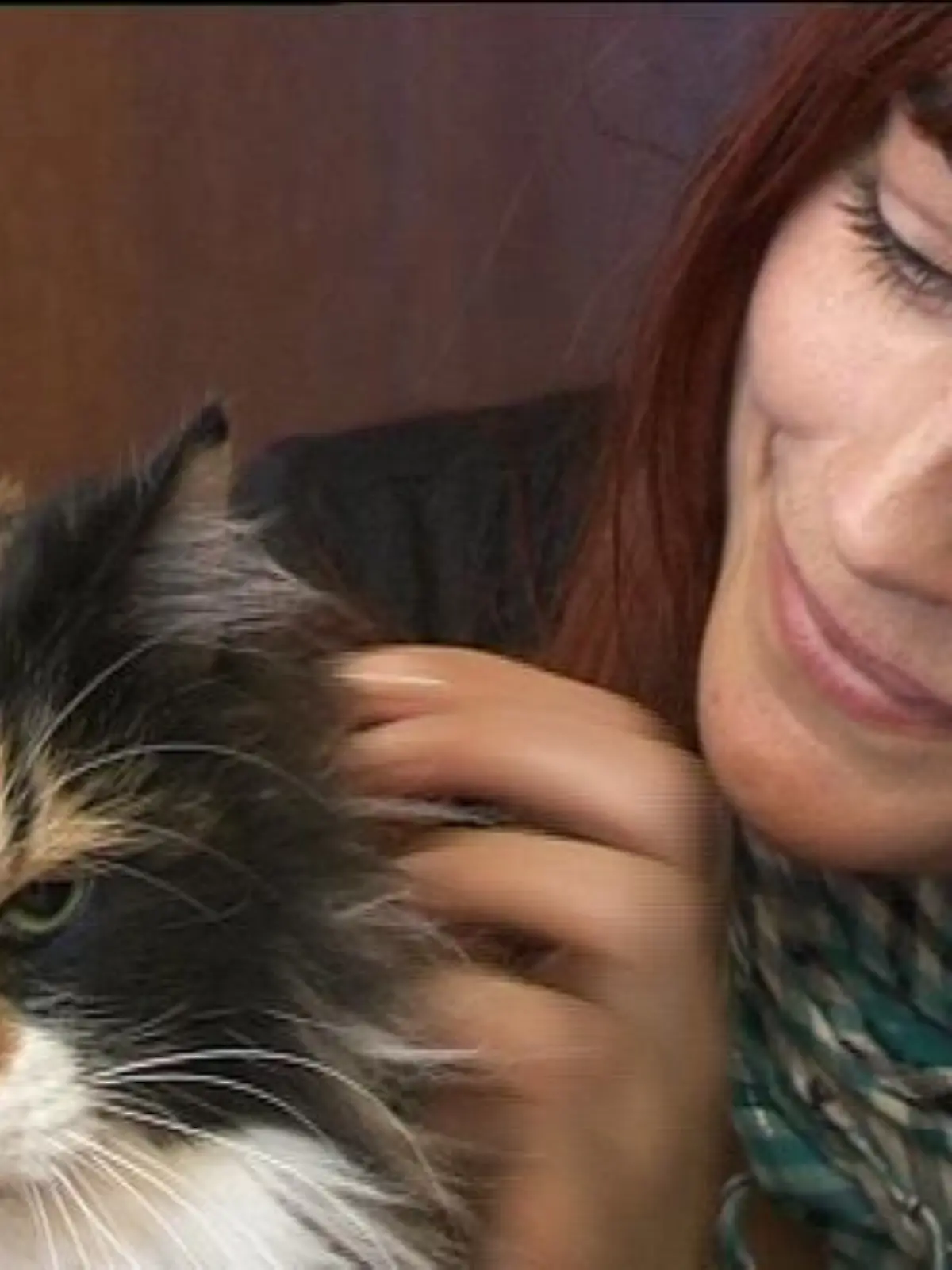 tiergesch1 norwwaldkatze